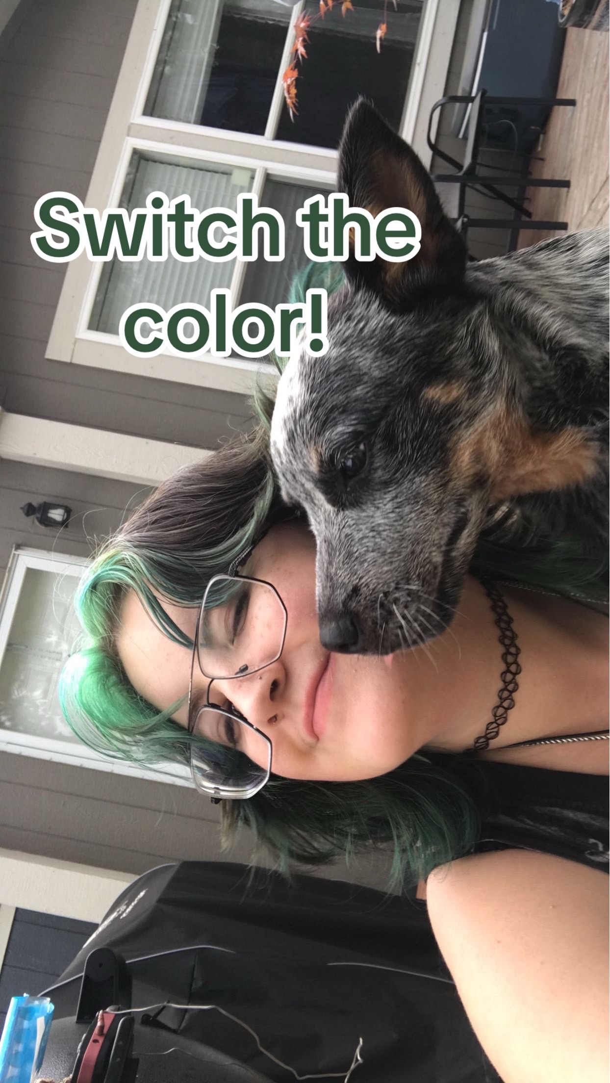 @LAMB_CH0P
