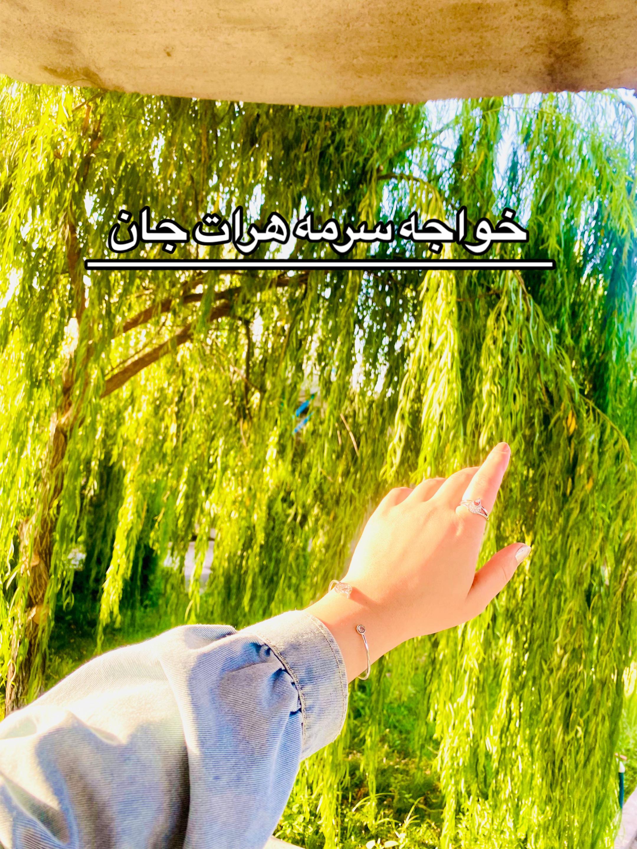 @__yalda__