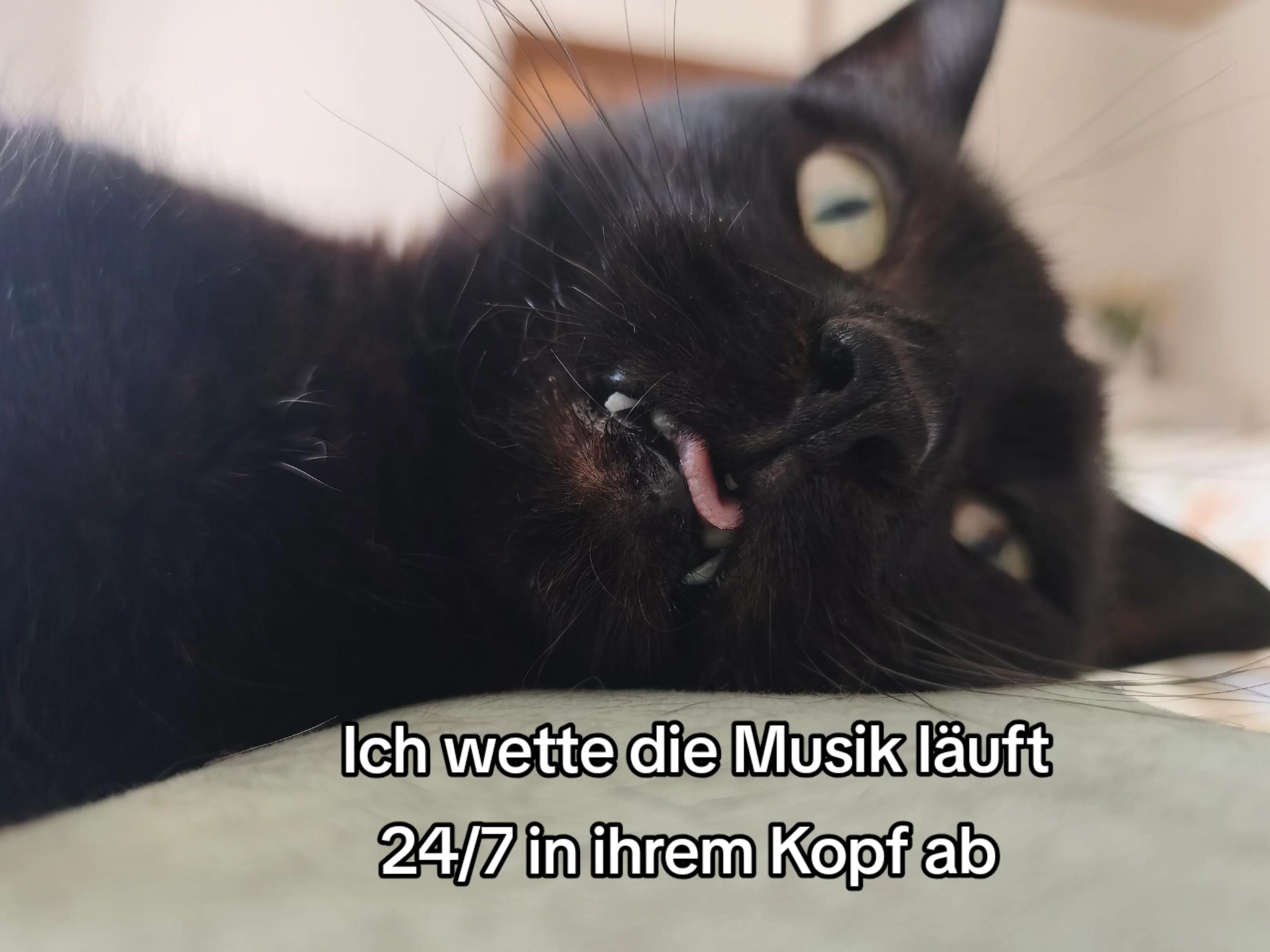 @nici_klein