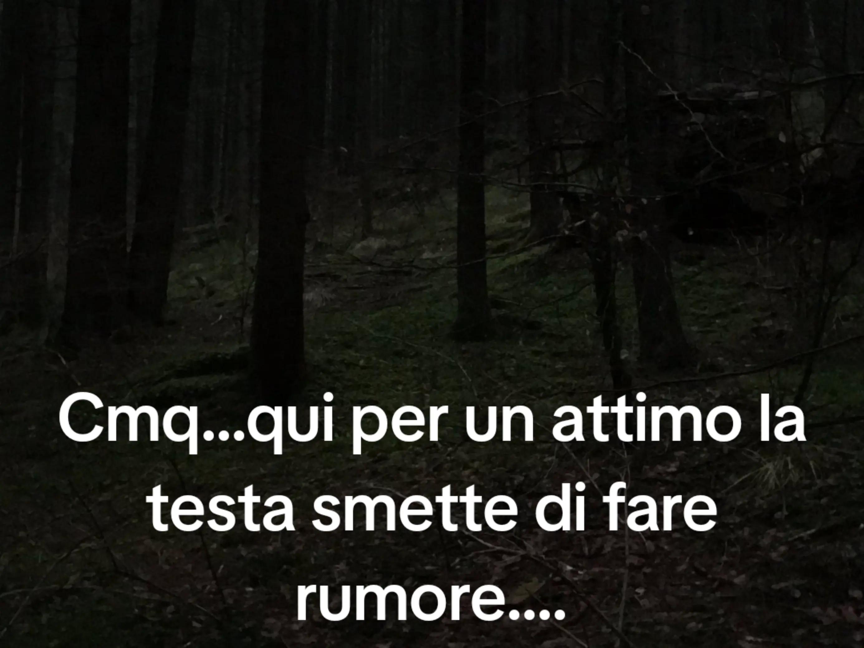 @Cristina Taddei