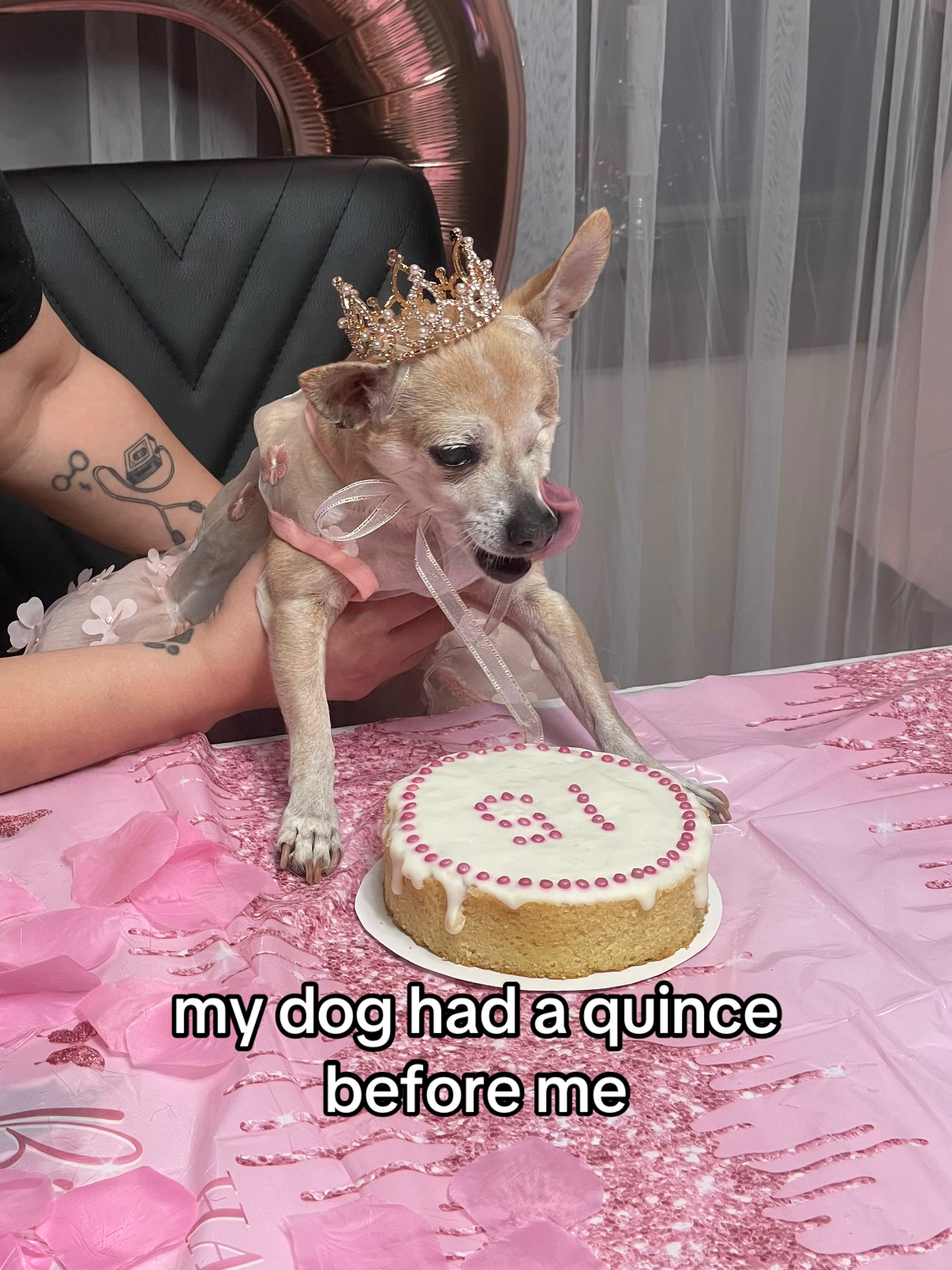 @daisy