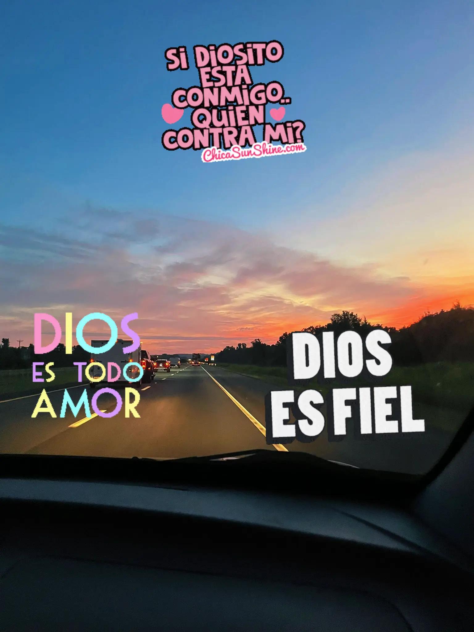 @🫂🐾🇻🇪♉️Masiel🫶 ⩜⃝🌈🦩