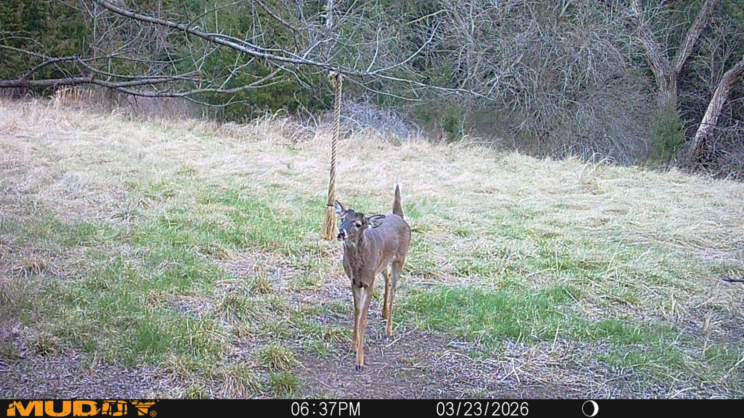 @Tactical Approach Outdoors LLC