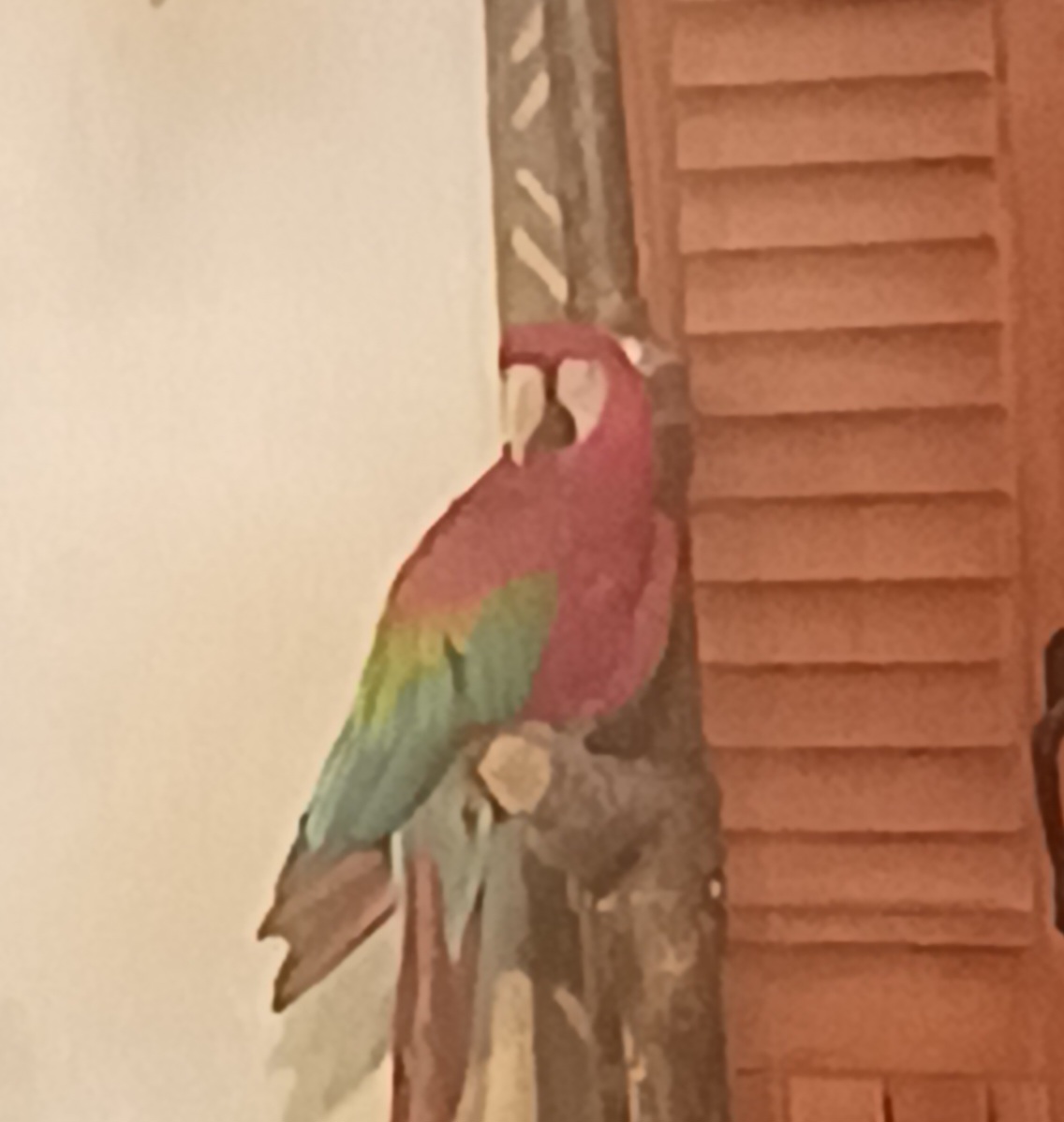 @Trevor