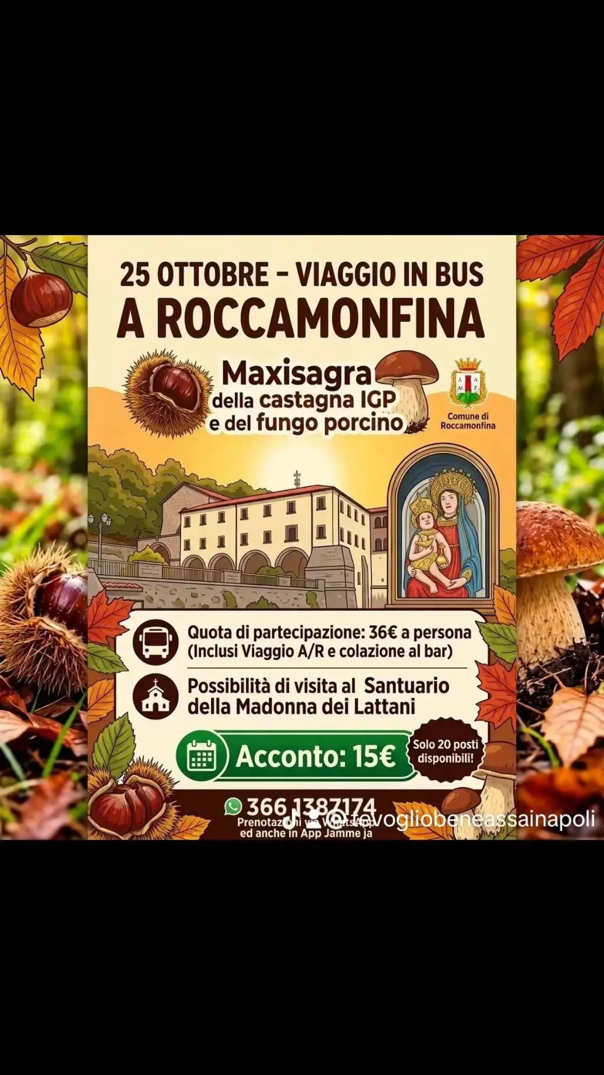 @Lucia Crispino Profi