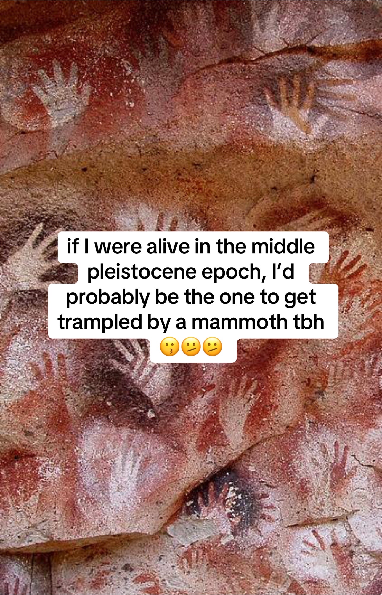 @sterling.the.cat