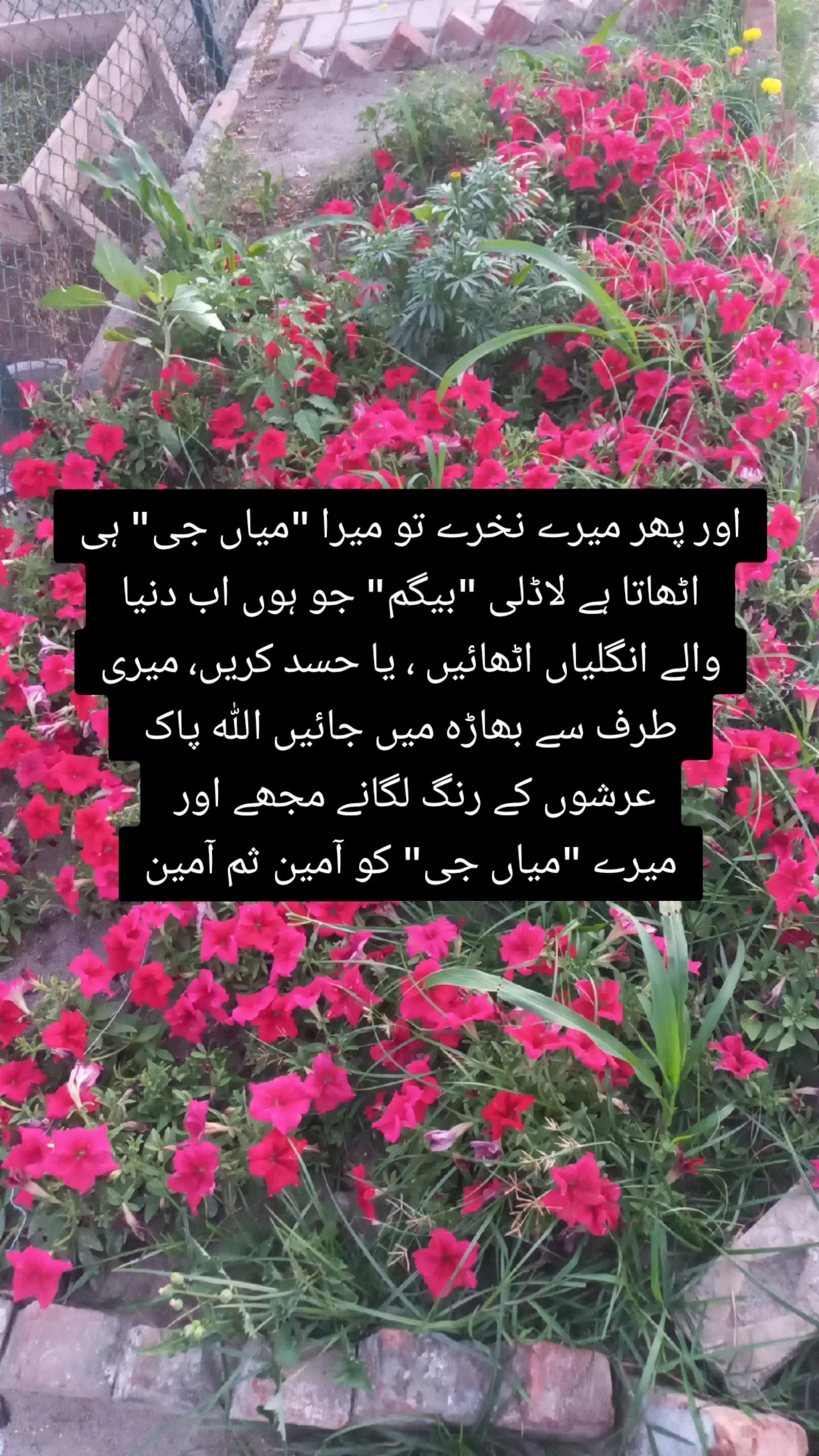 @Fariha Hassaan❤️