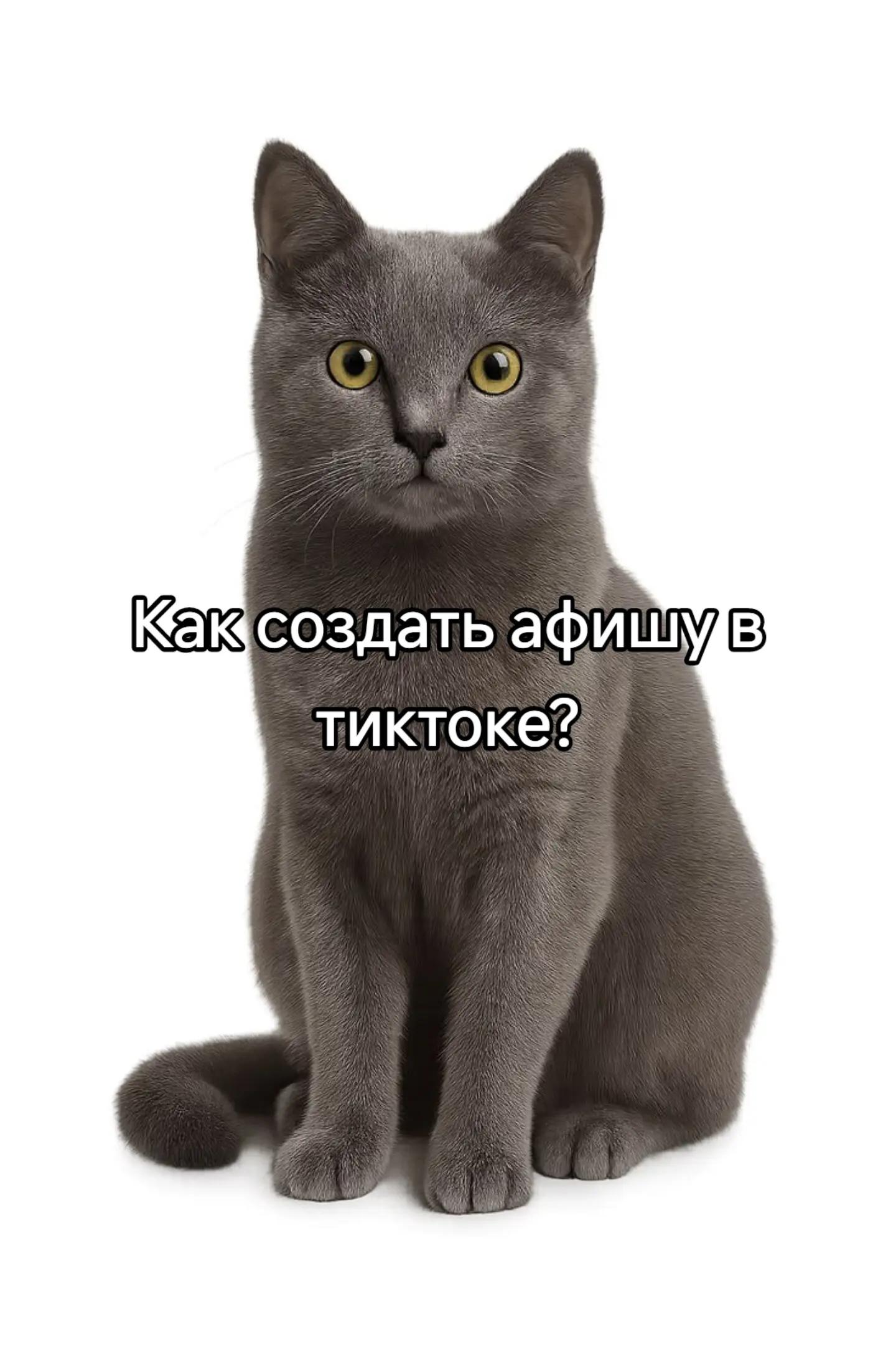 @EeehBlyaat