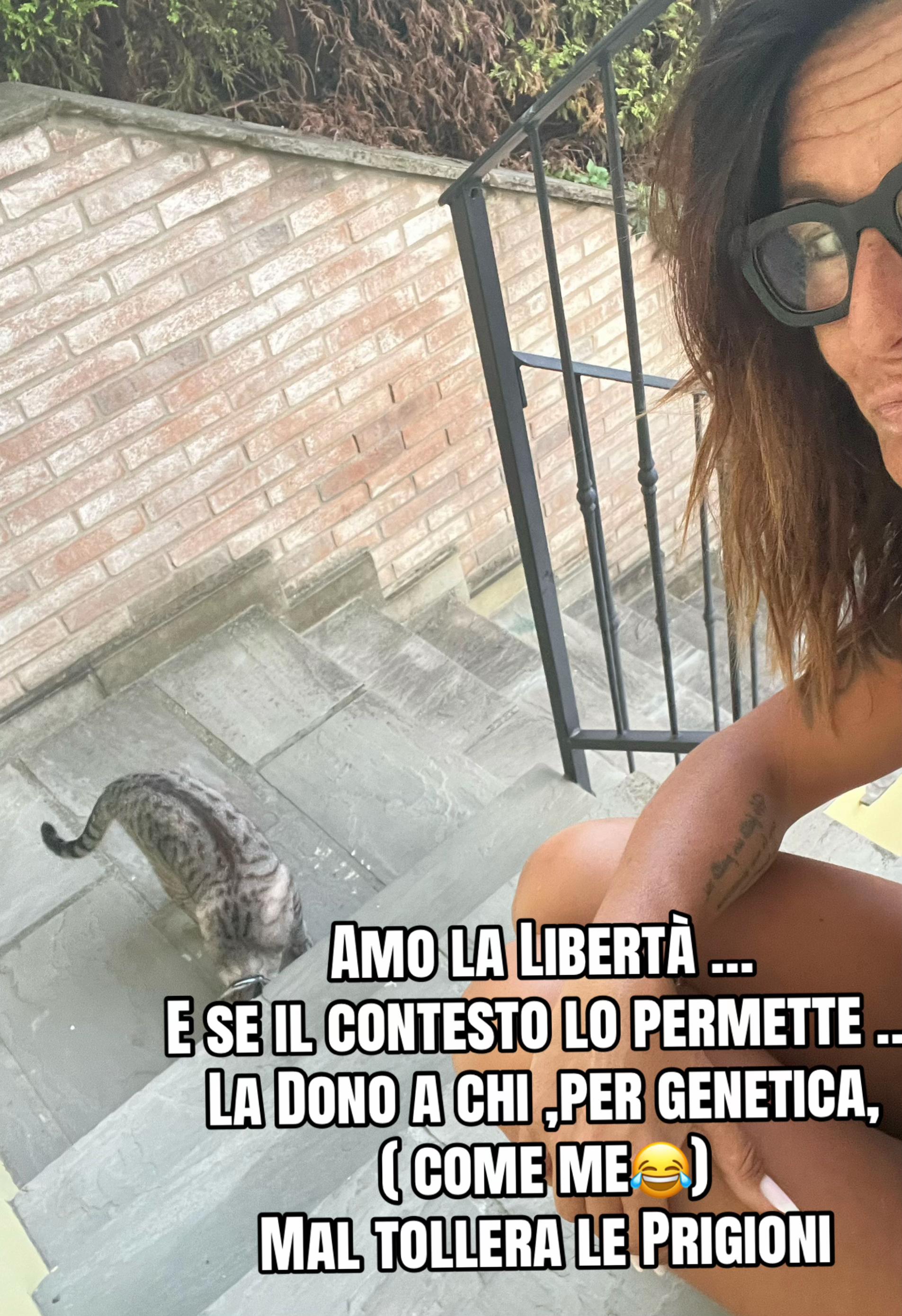 @laviniaraotorres