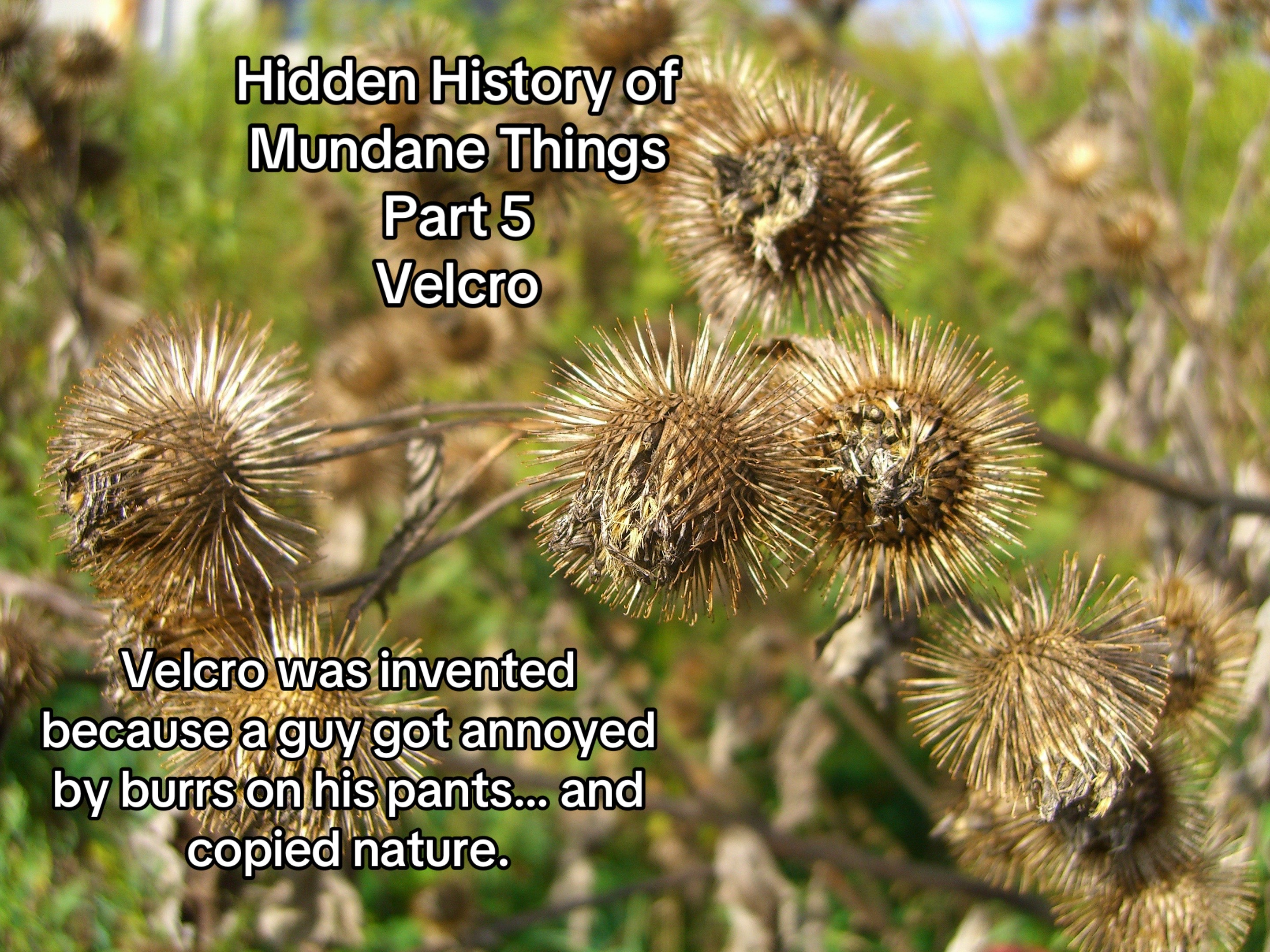 @mundanehistories