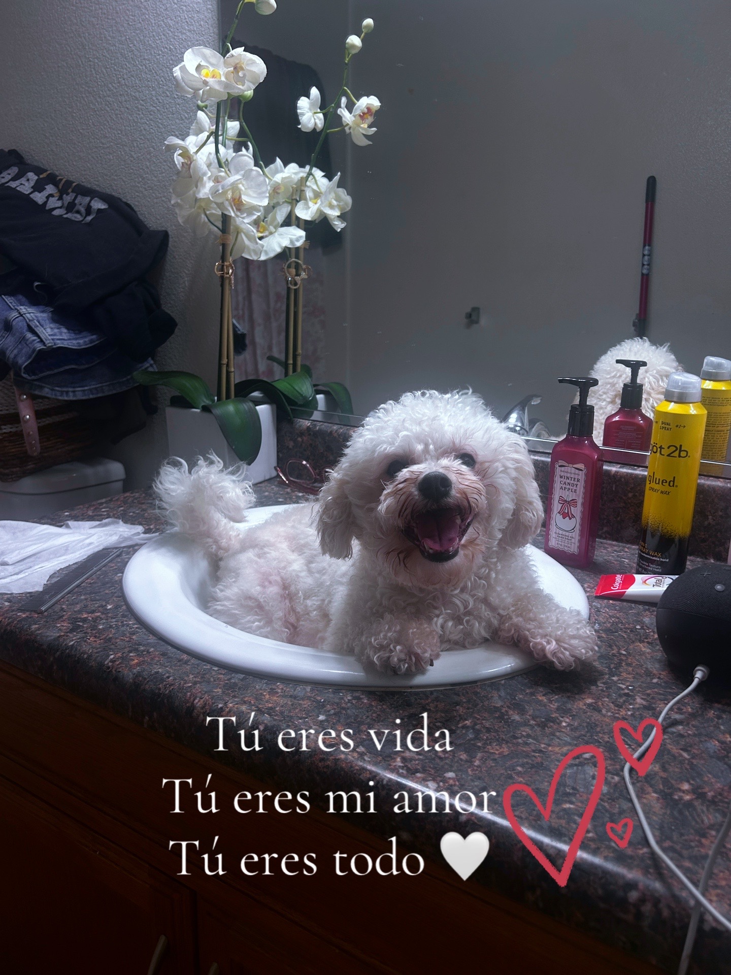 @Ale Almanzar