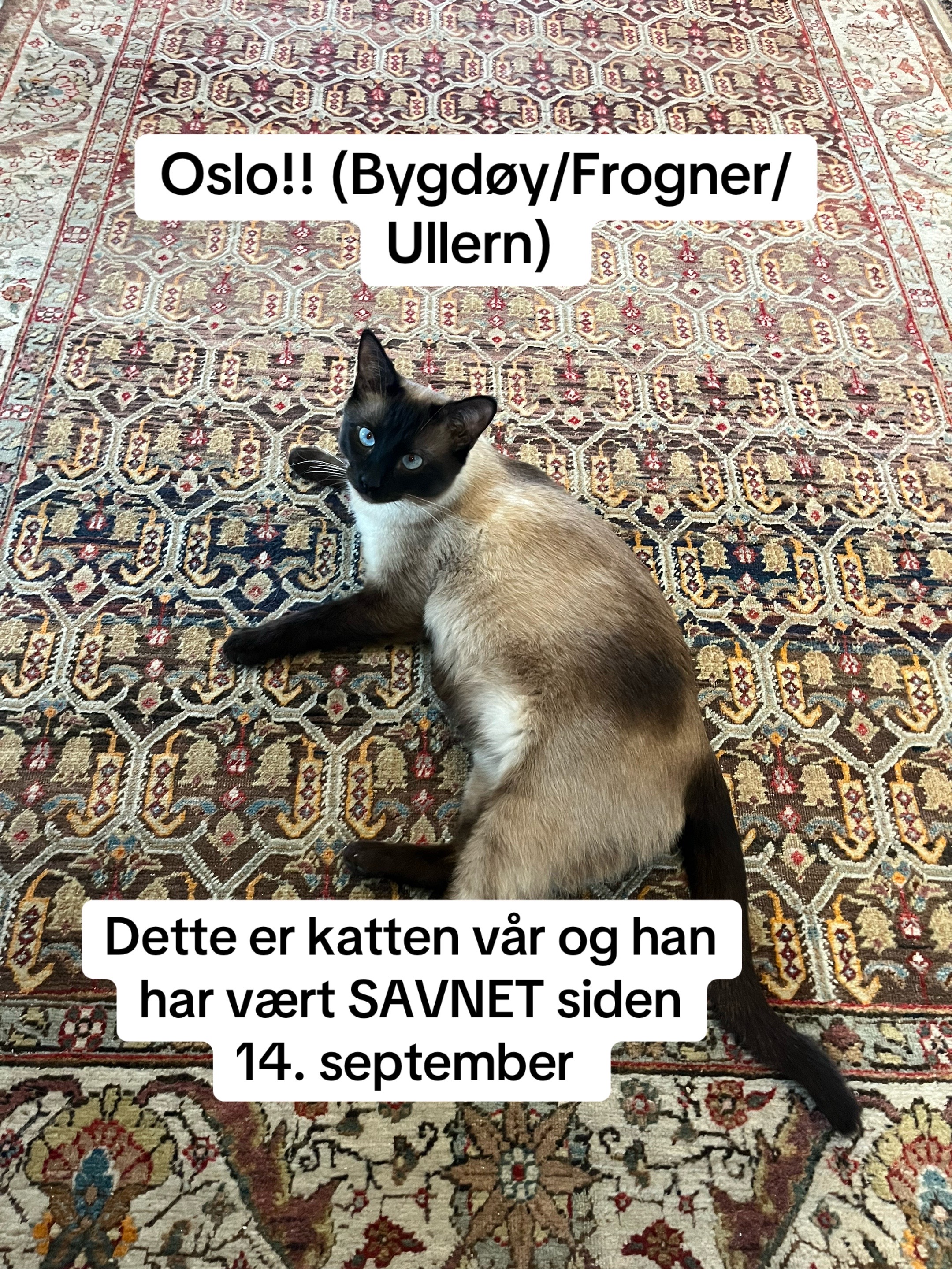 @Delphine