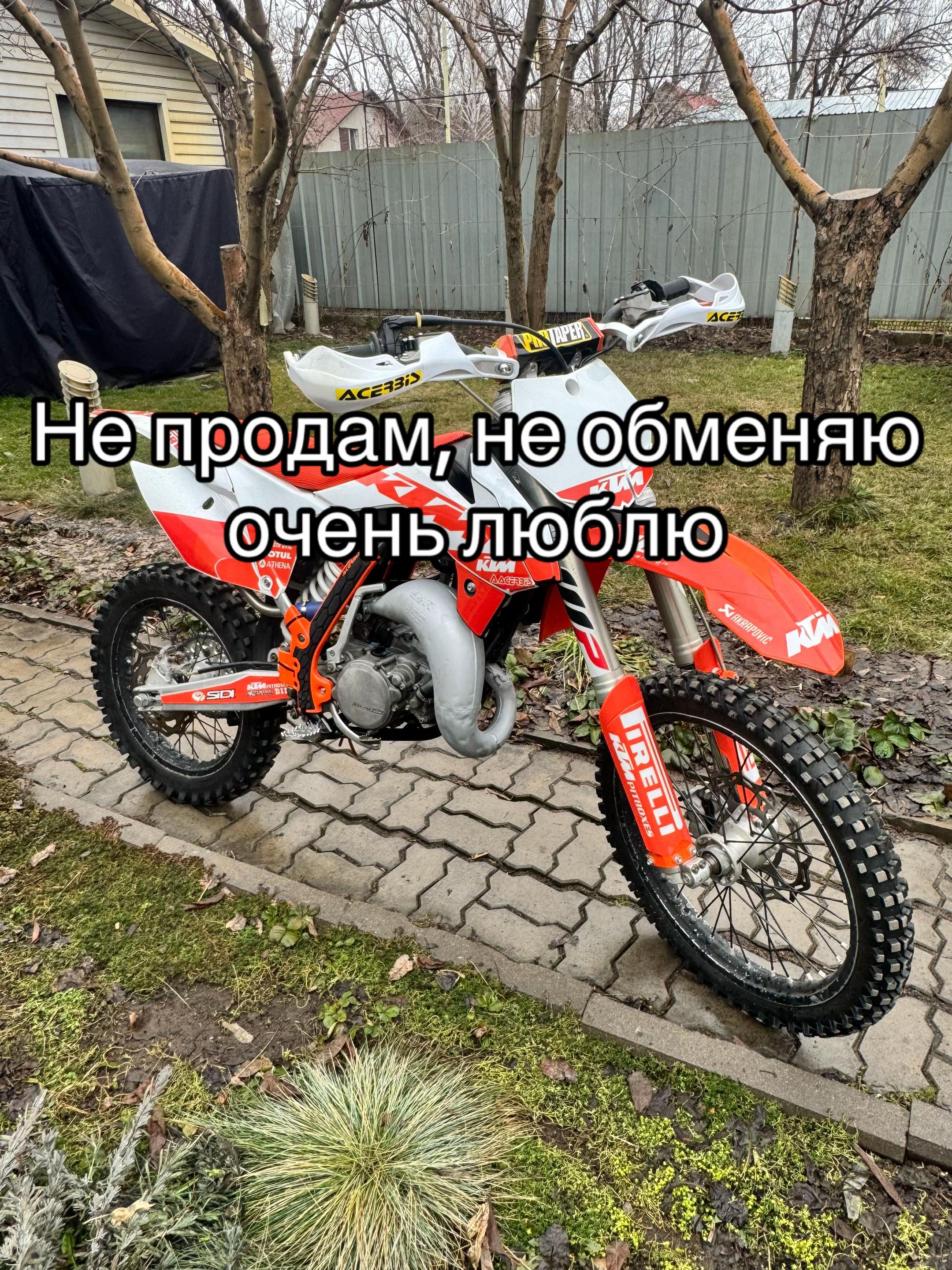 @savkin