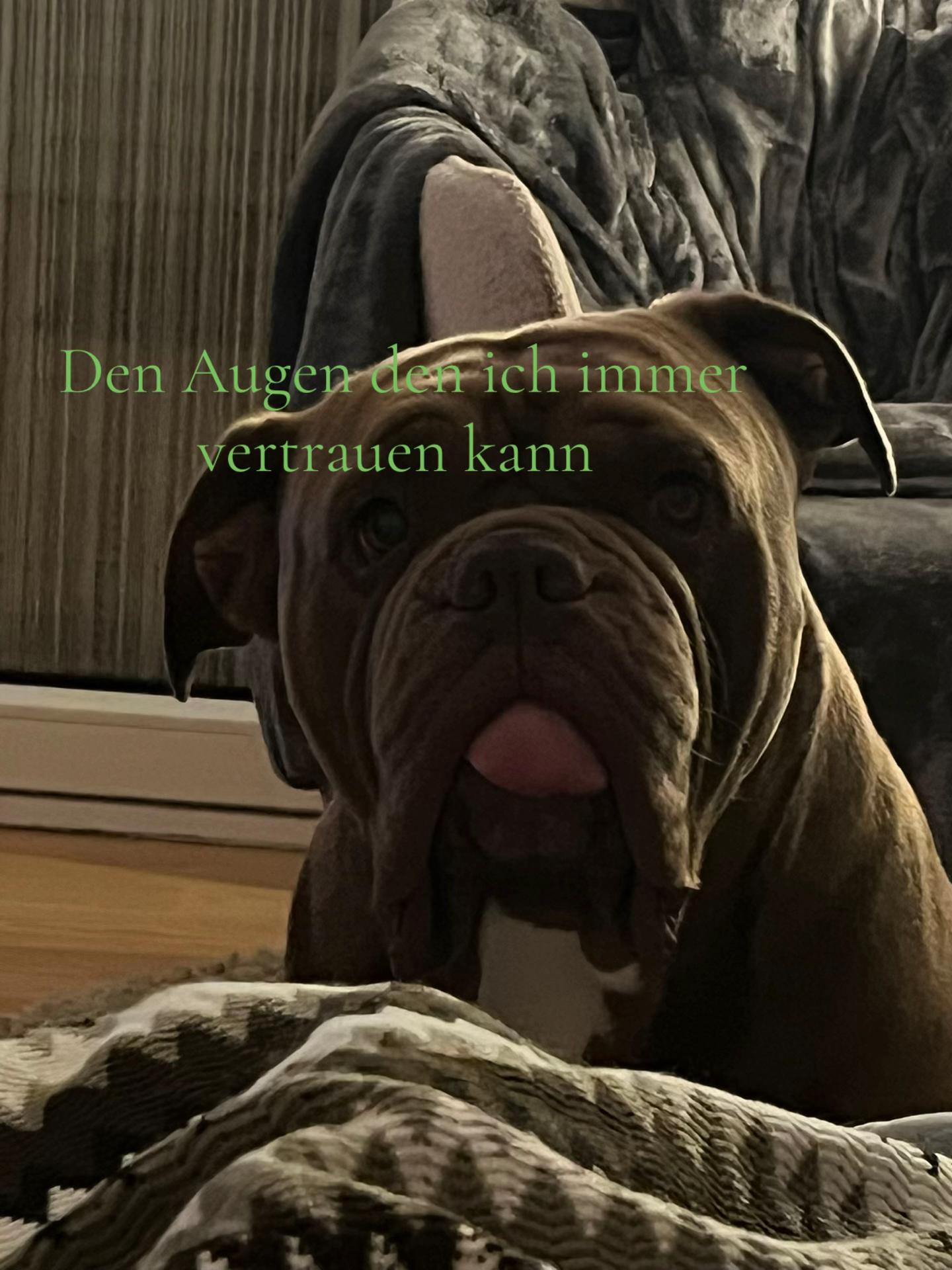 @𝐿