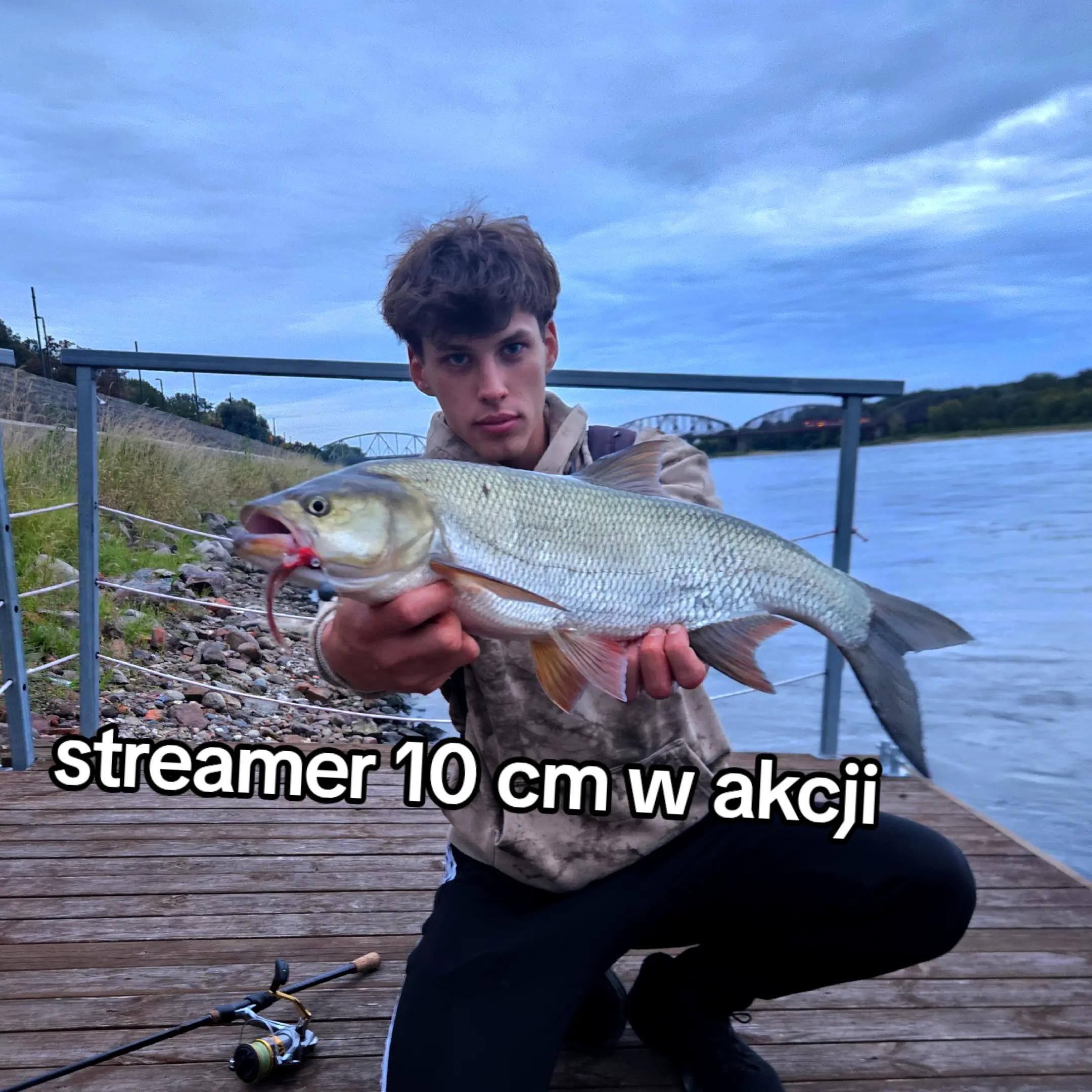 @mfly_lures