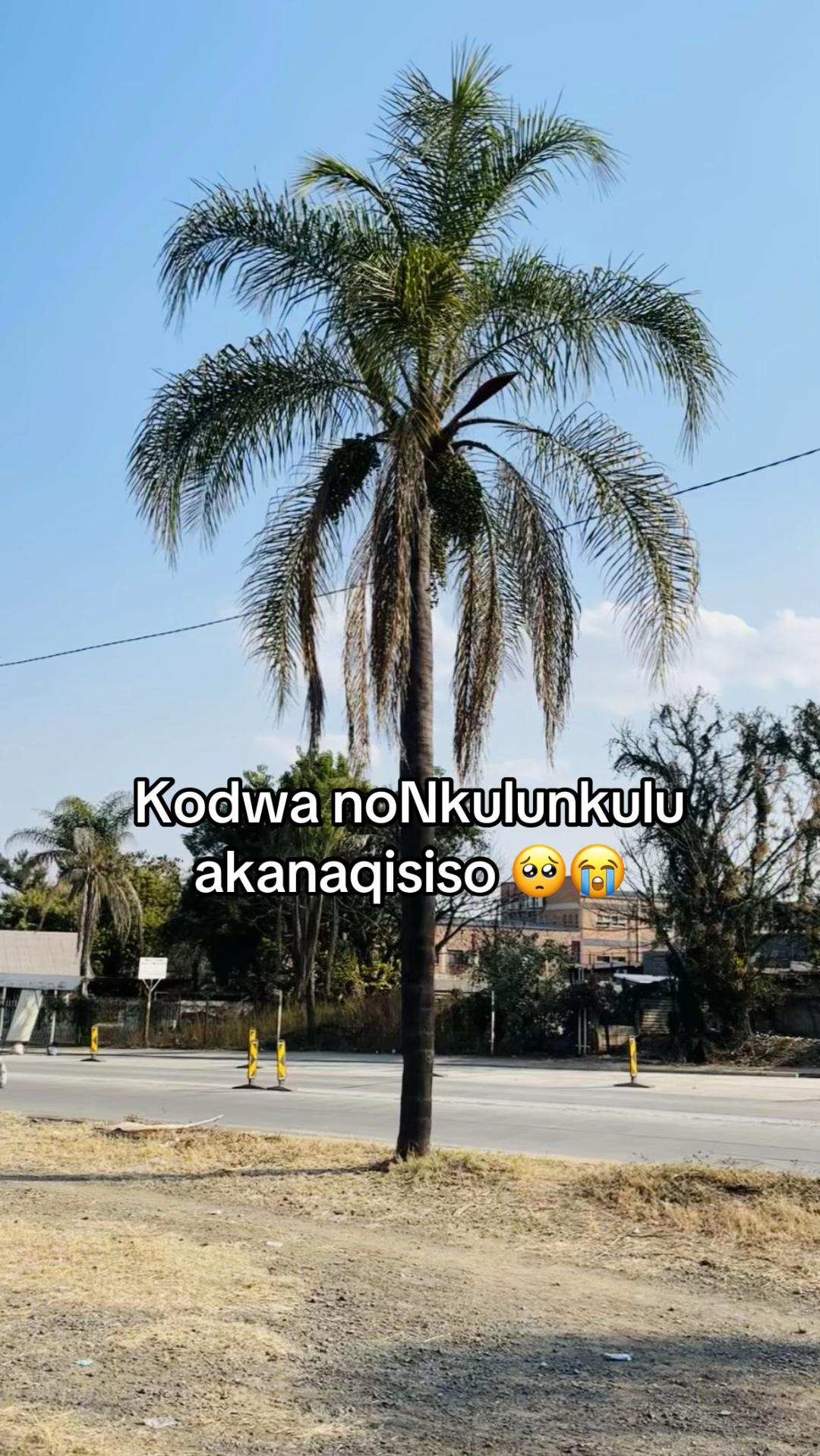 @Bhutie
