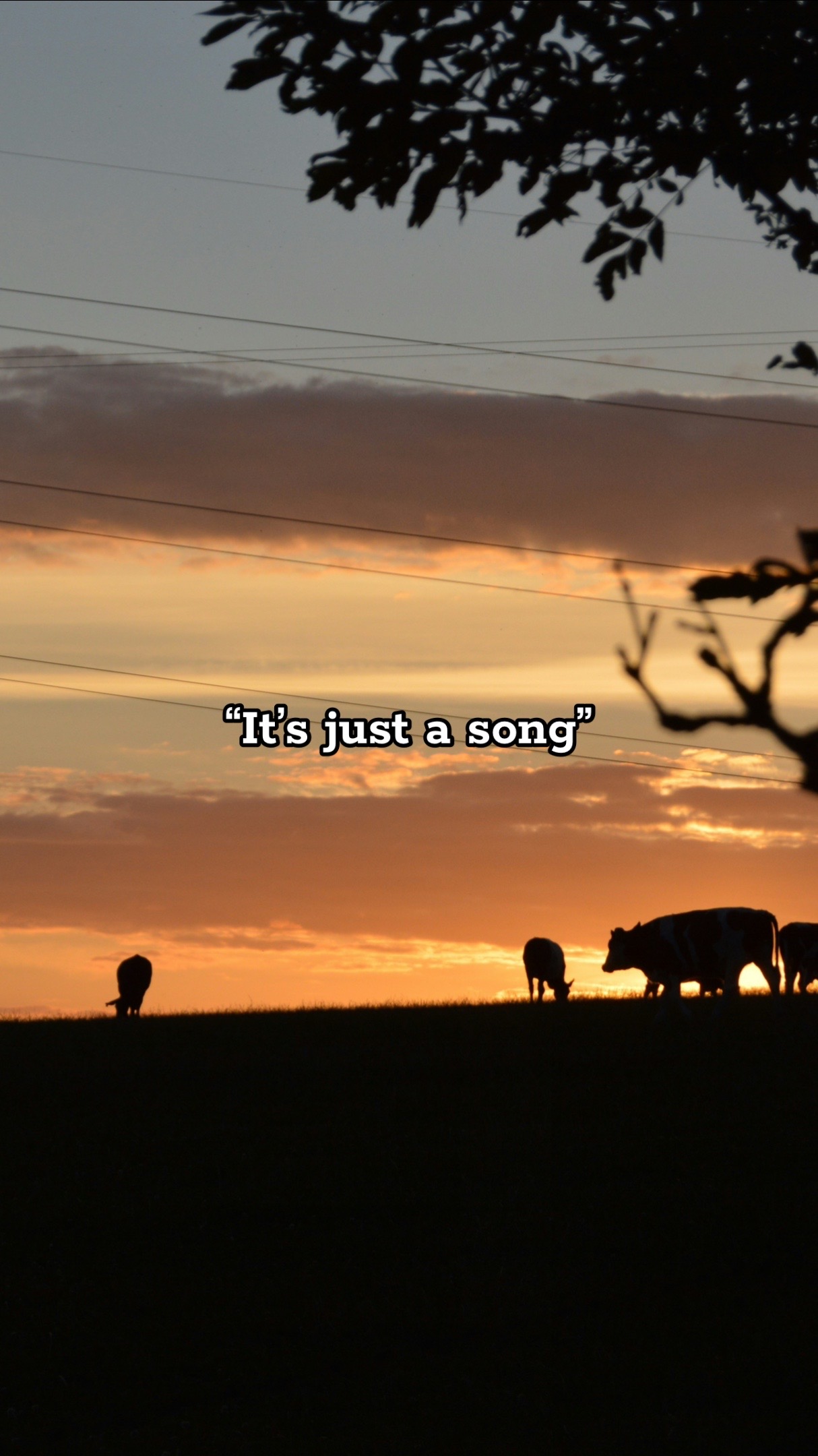 @Sad Cowboy Music