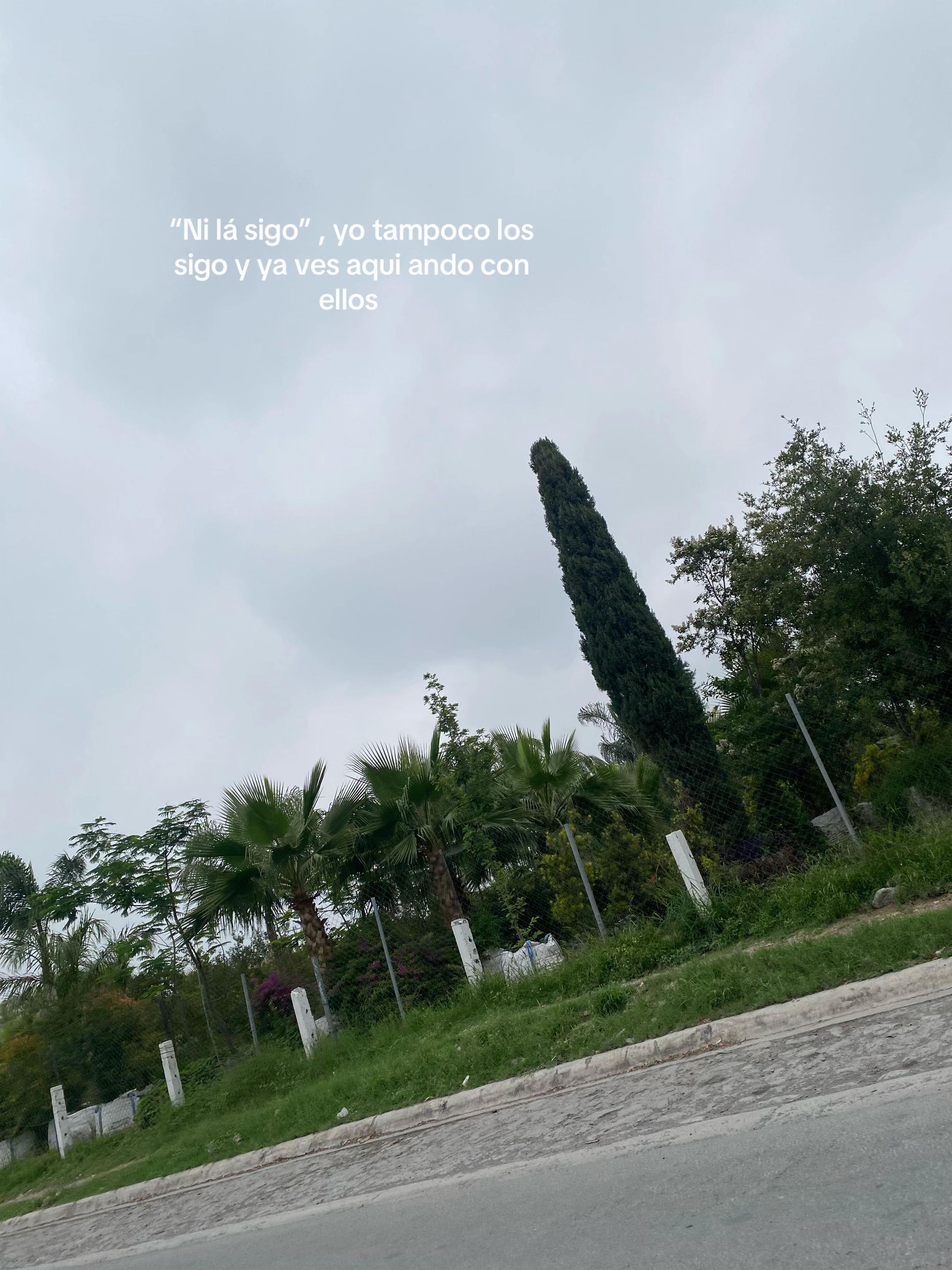 @jaz min