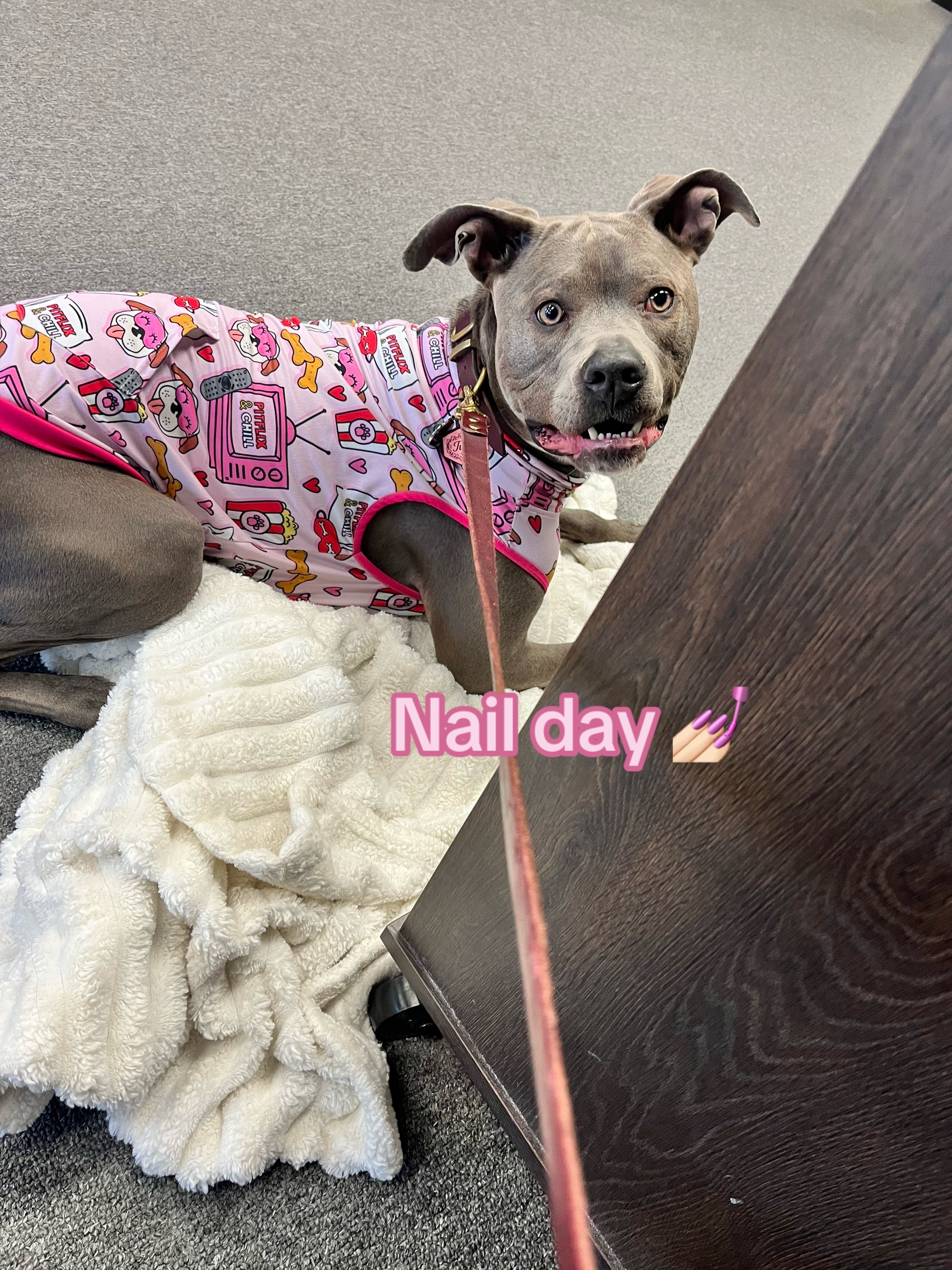 @Ivy the pitty