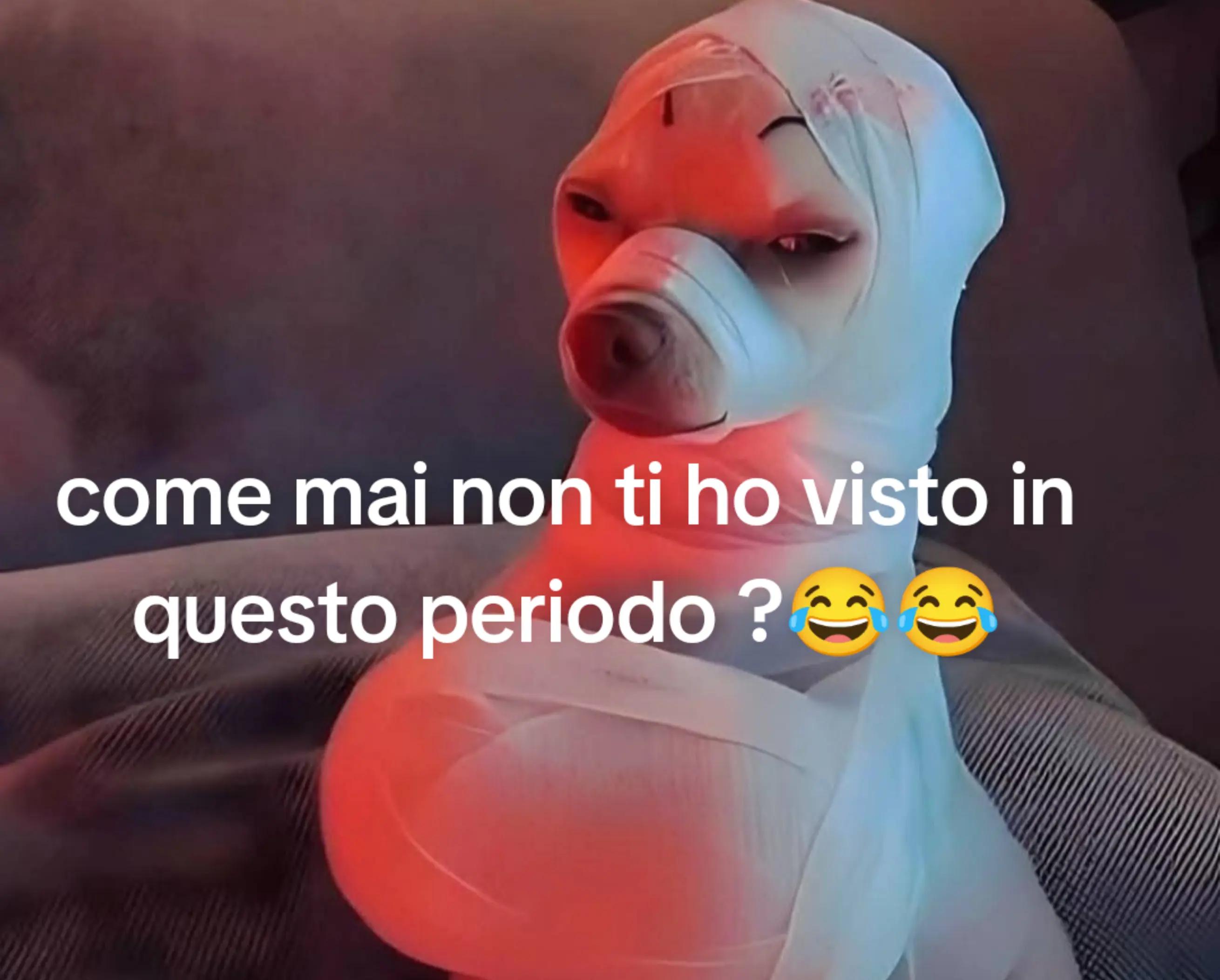 @Rossana Isabel D'Alessio 🦋
