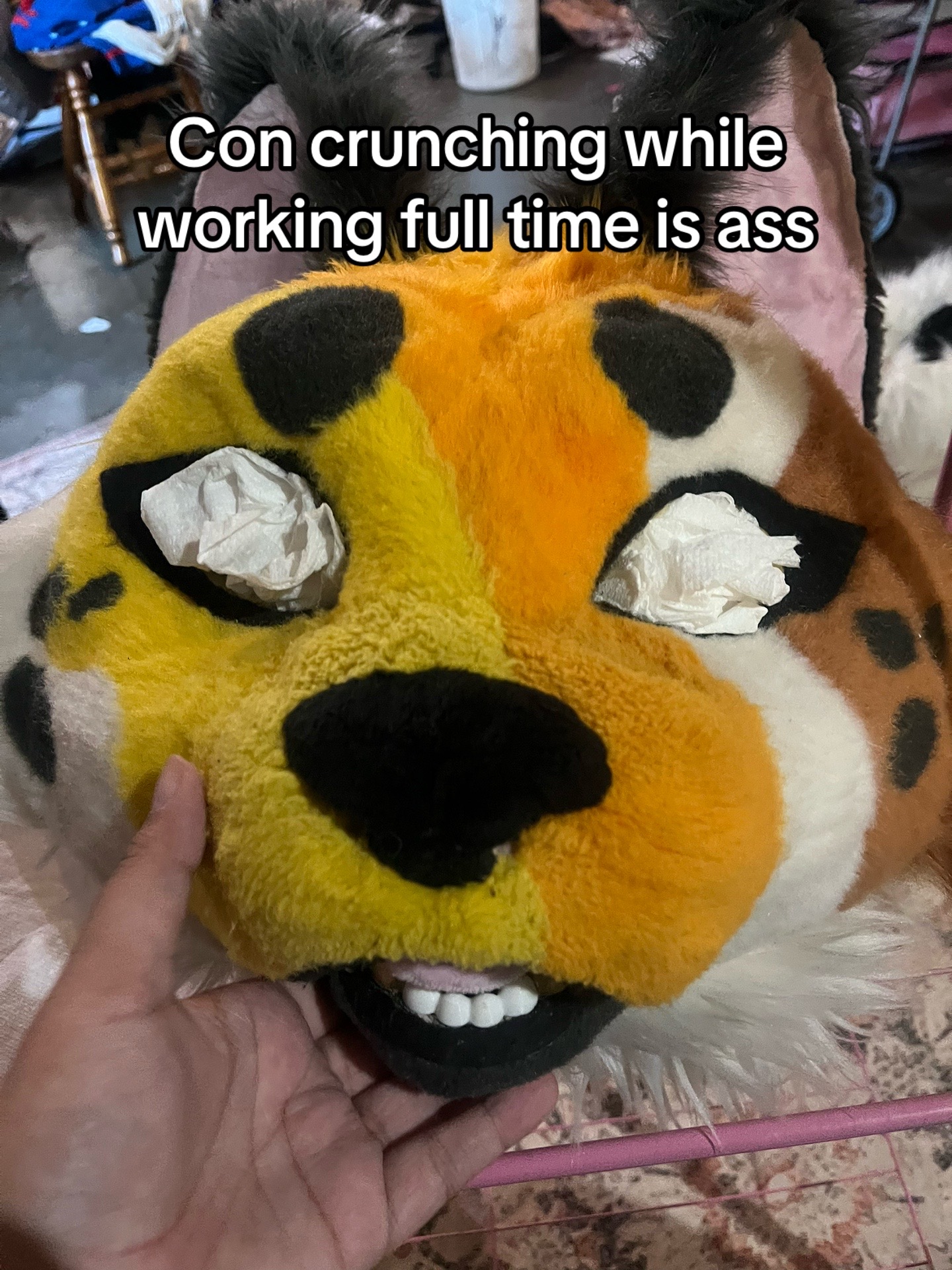 @Cricket✨🫧🔜indyfurcon 26✨