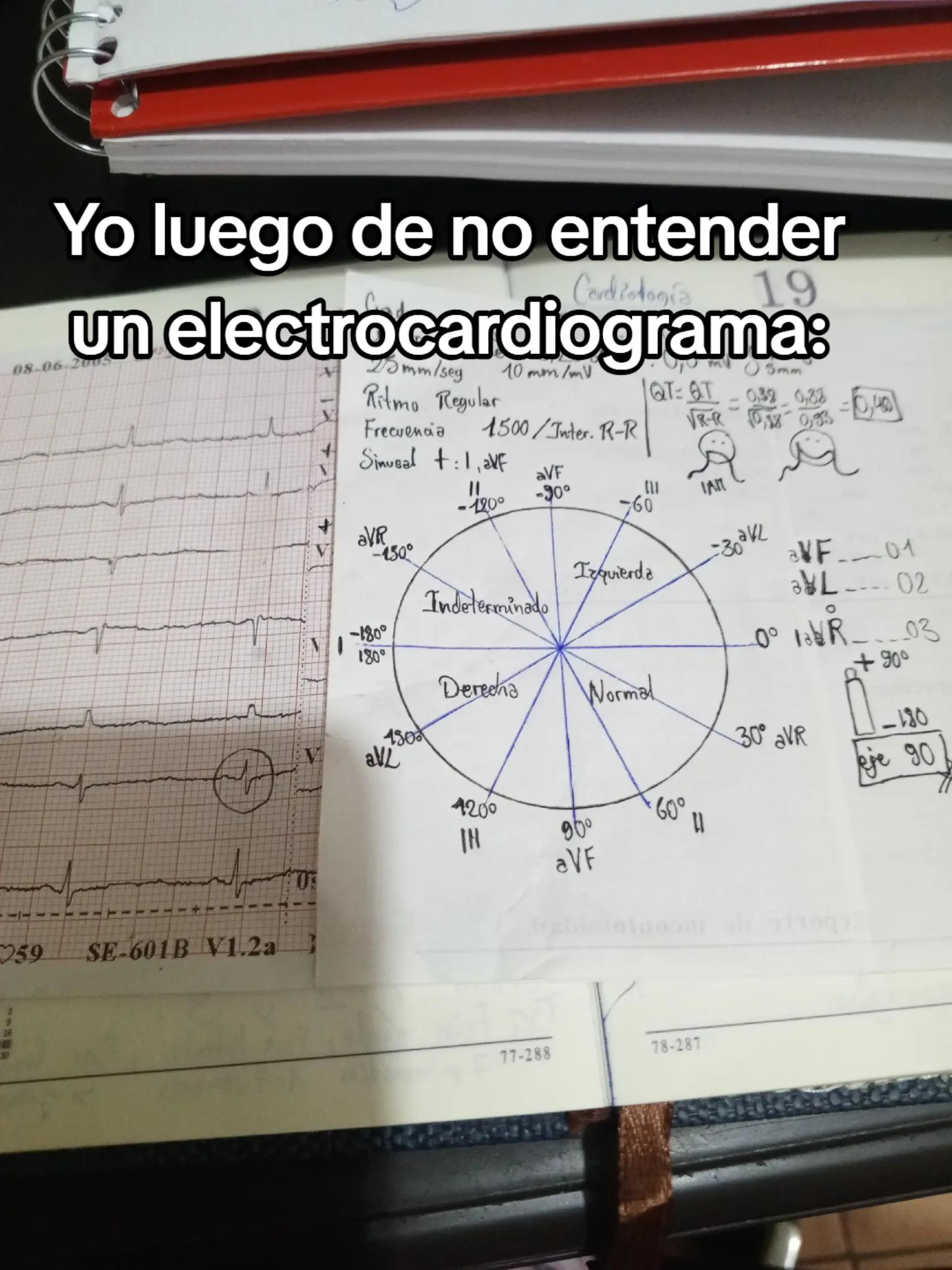 @BriVelarde🤍