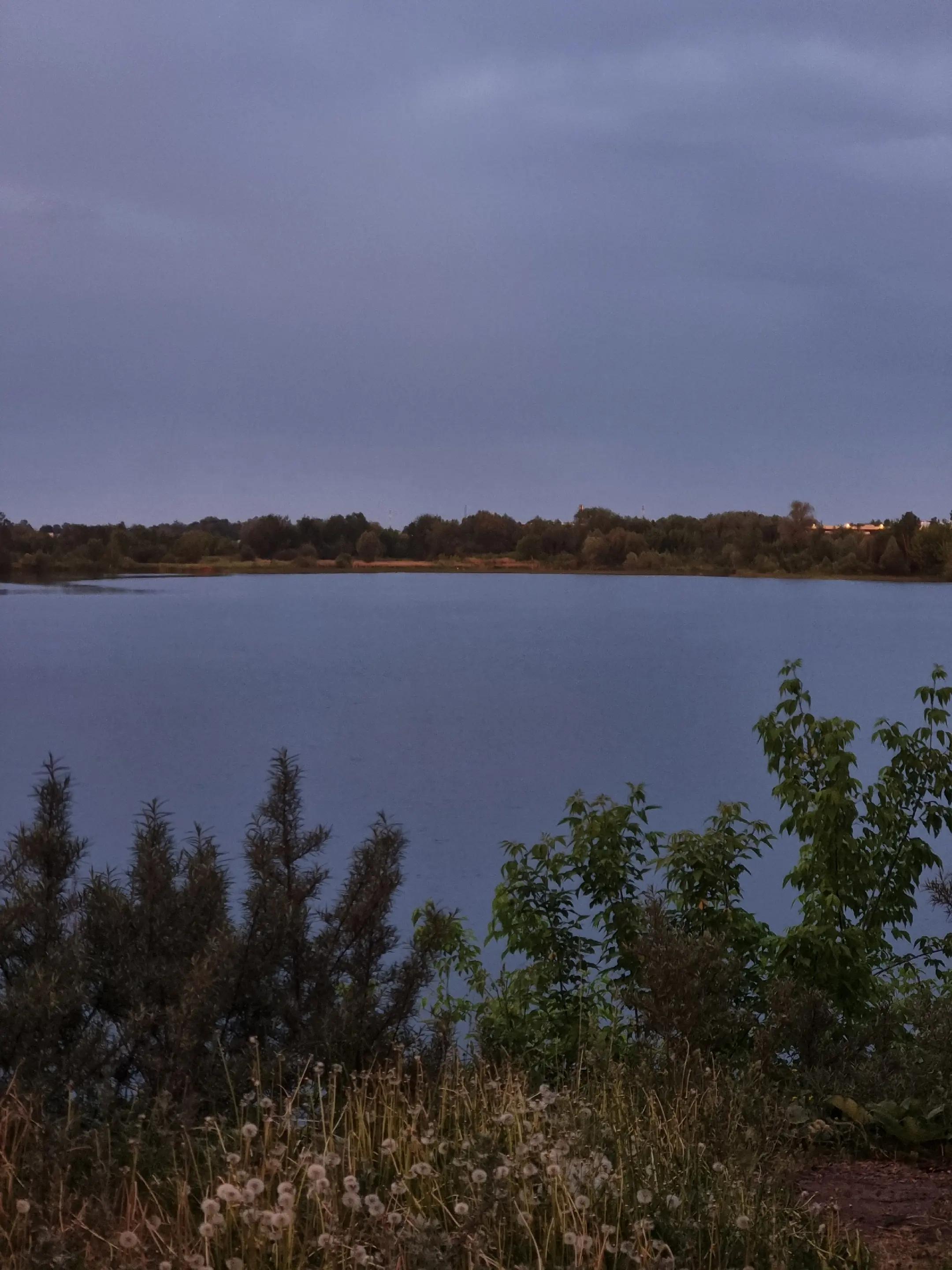 @vorobushekk