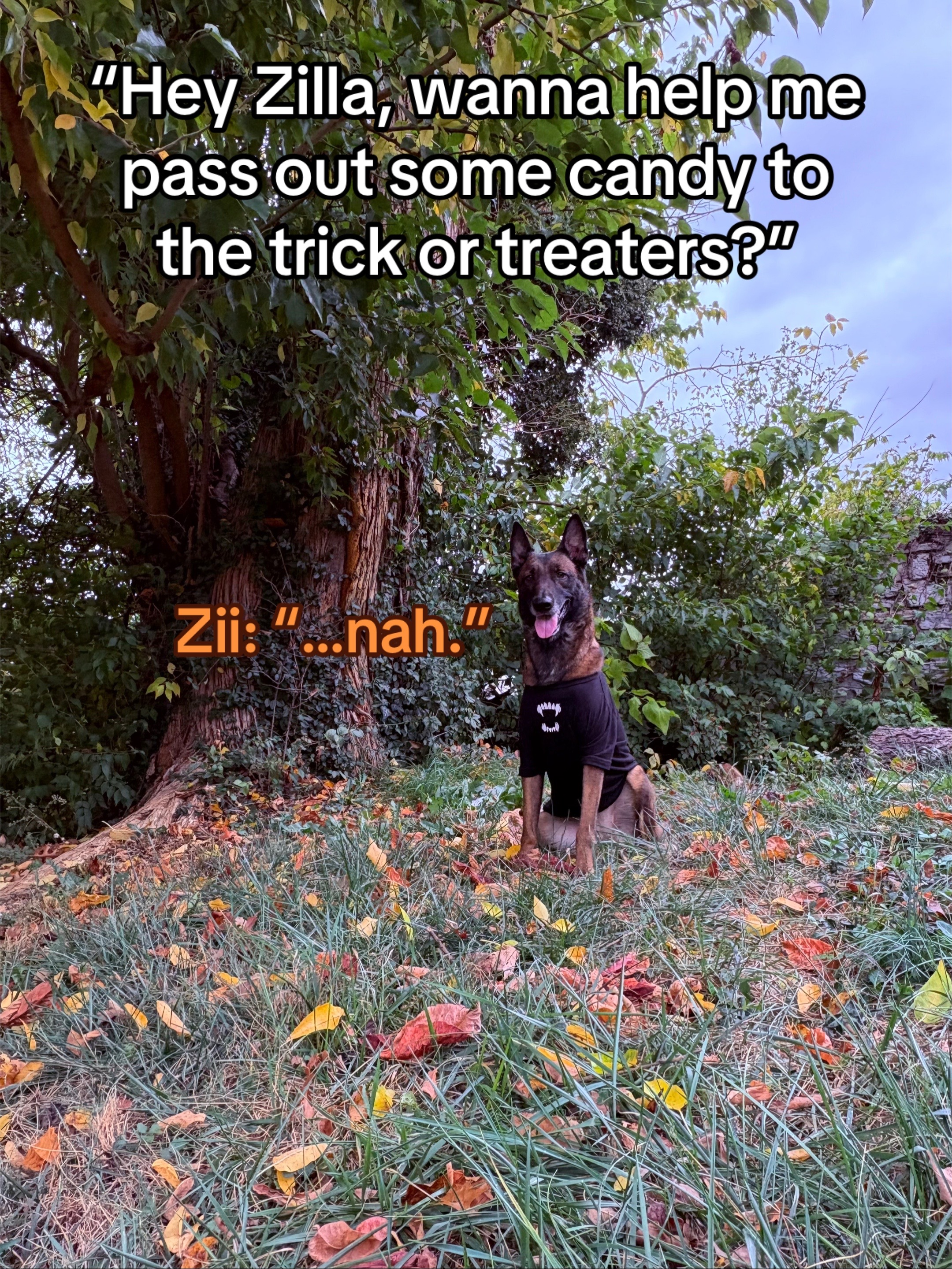 @ℌ𝔢𝔩𝔩𝔞 ℭ𝔞𝔫𝔦𝔫𝔢𝔰