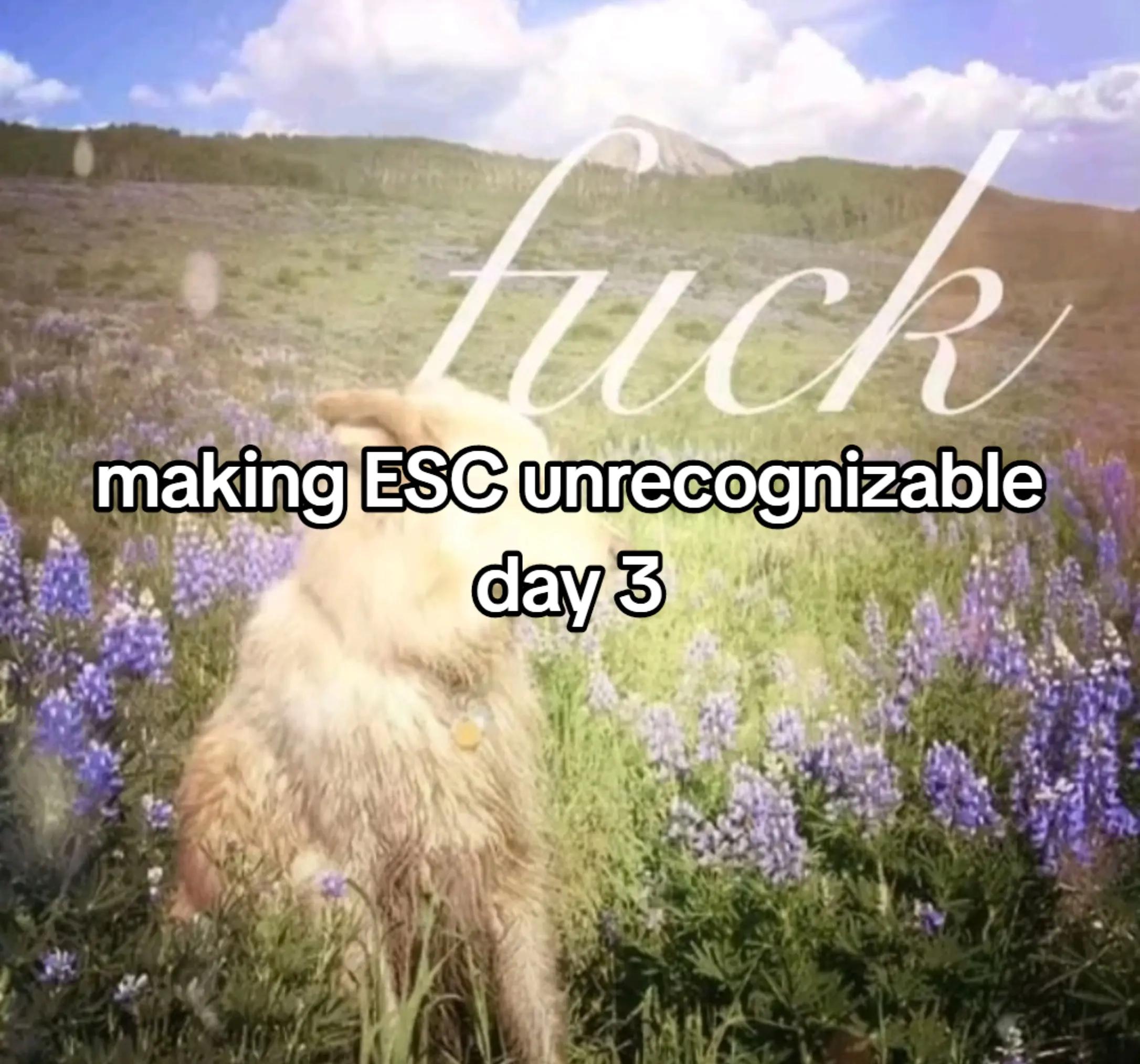 @DONT FUCKING @ ME