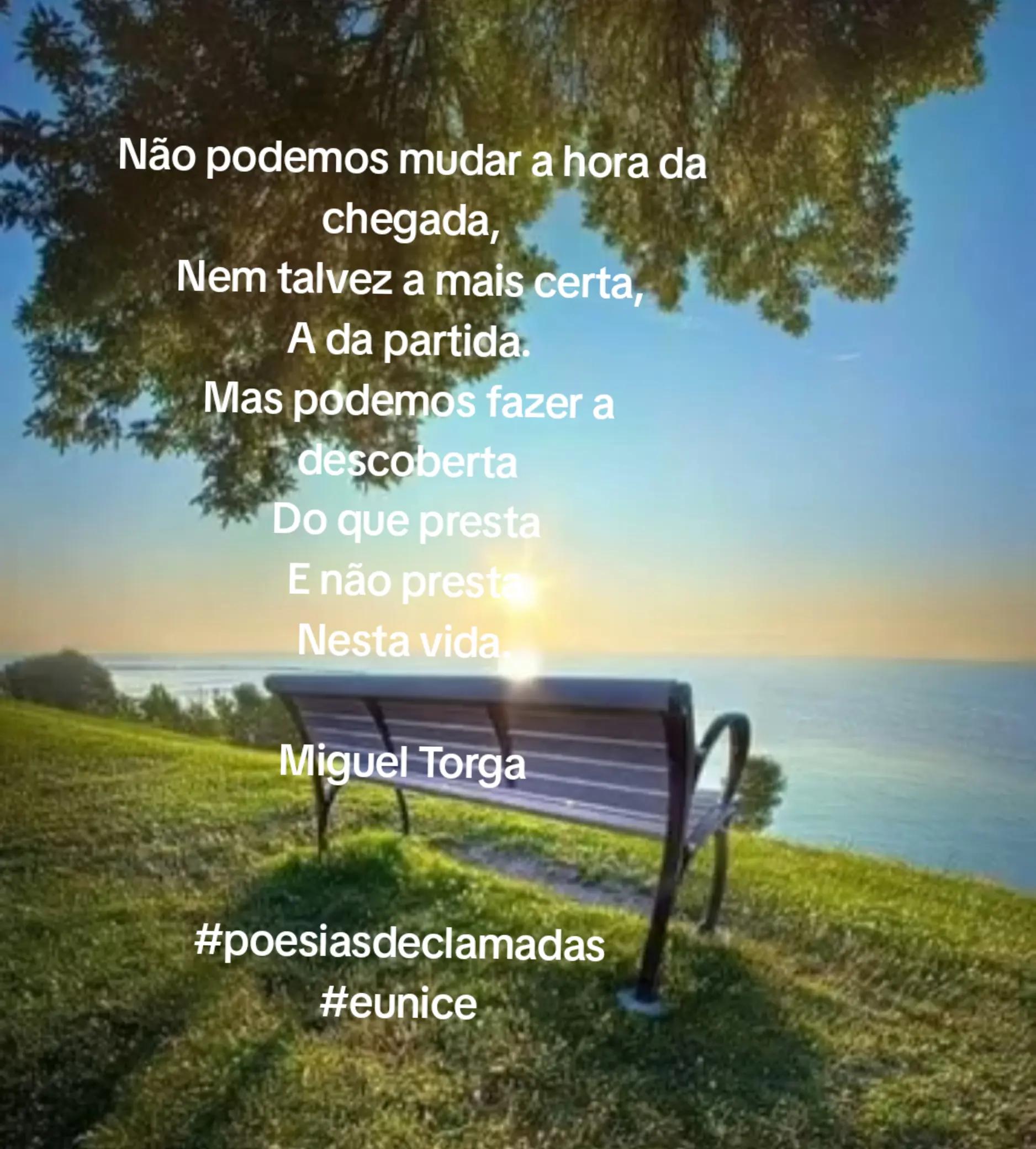 @Eunice Storch Baumann