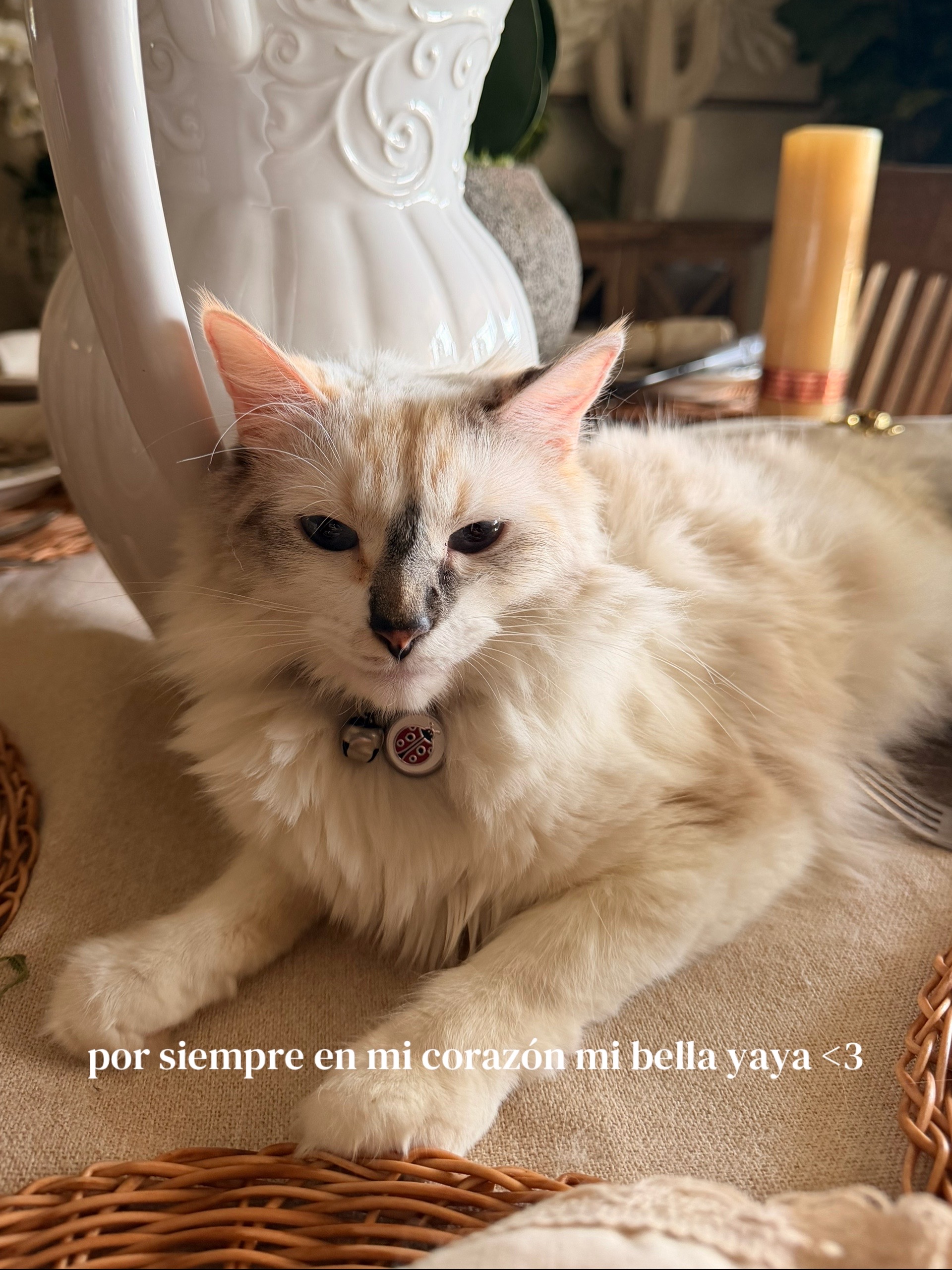 @εїз