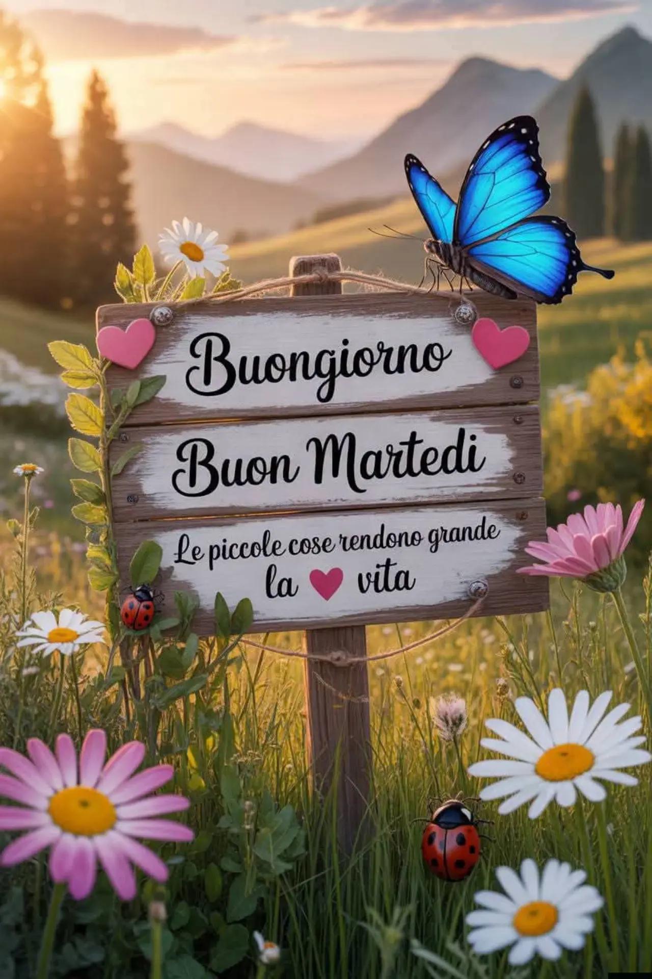 @Luciano✨💯💯🌟