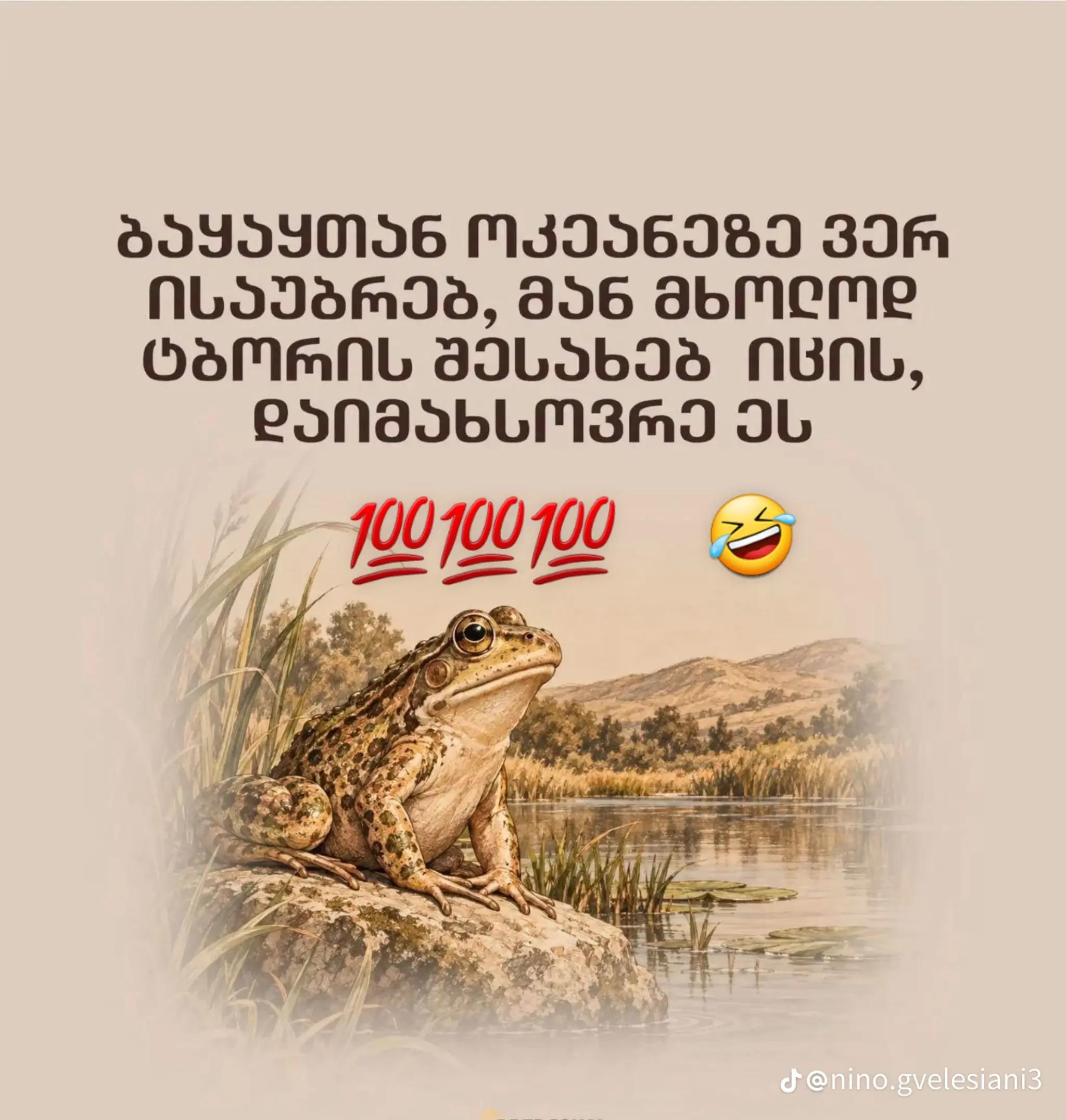 @fancuxee fancuxee