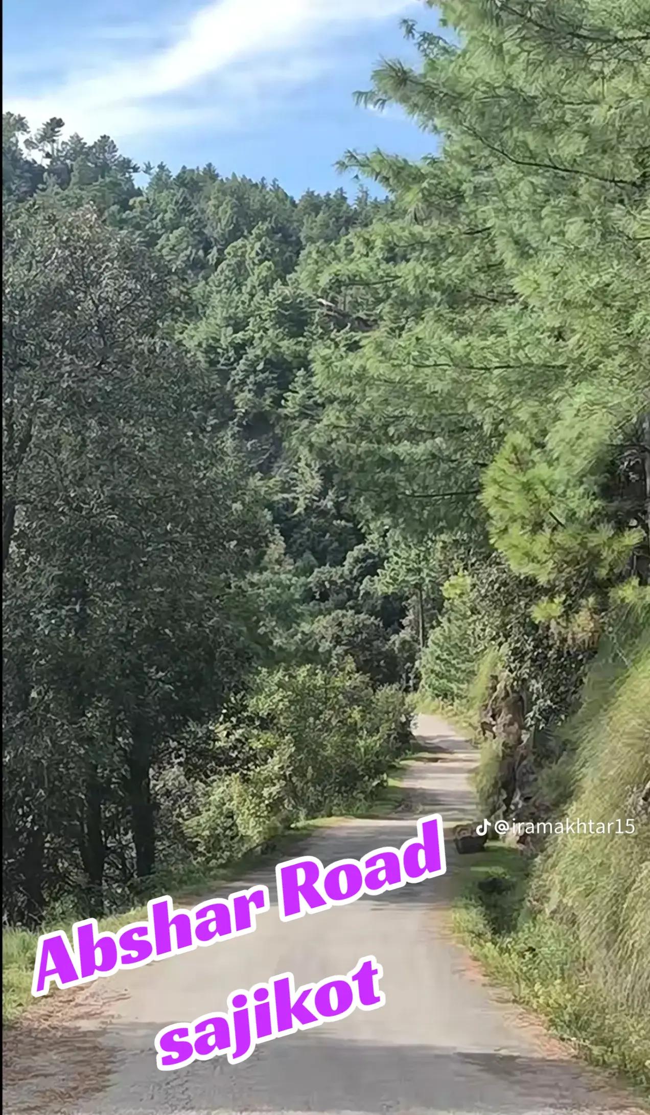 @muhammadsaddique8622