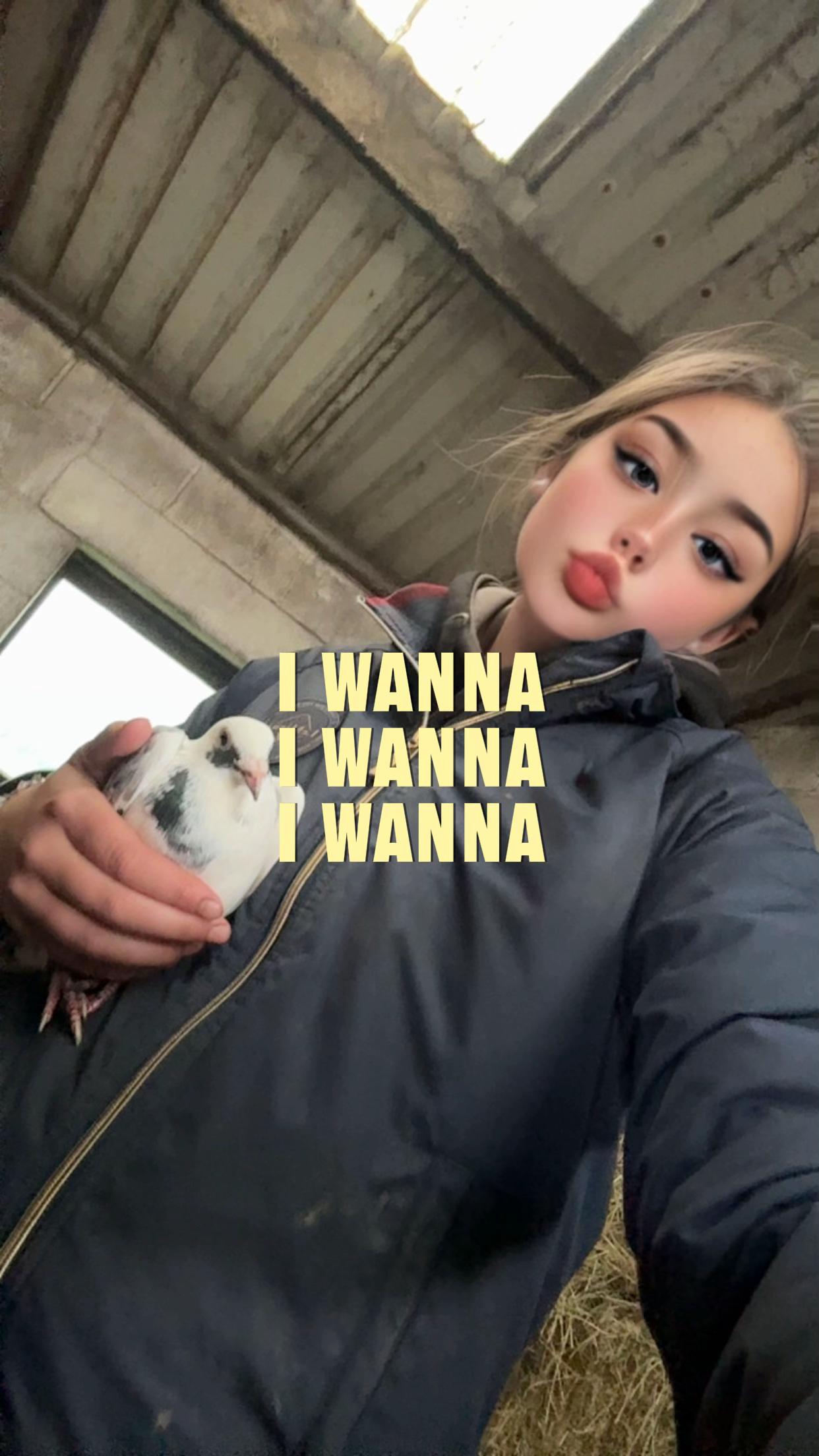 @ava.murphy.bill.derek