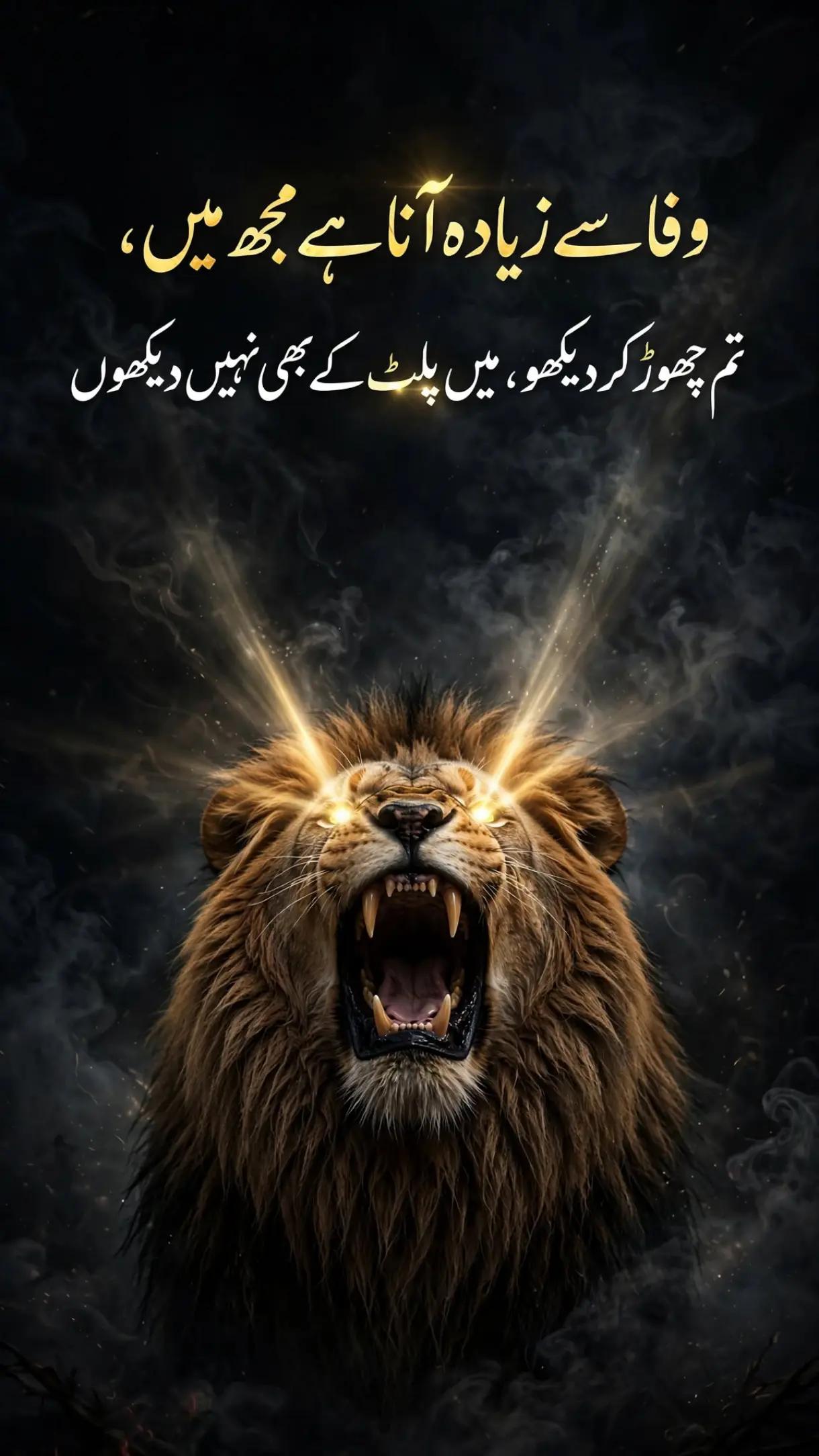 @Syed 804