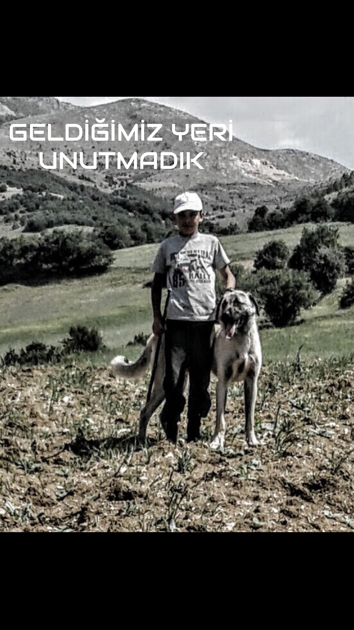 @Cengizhan Yıldırım