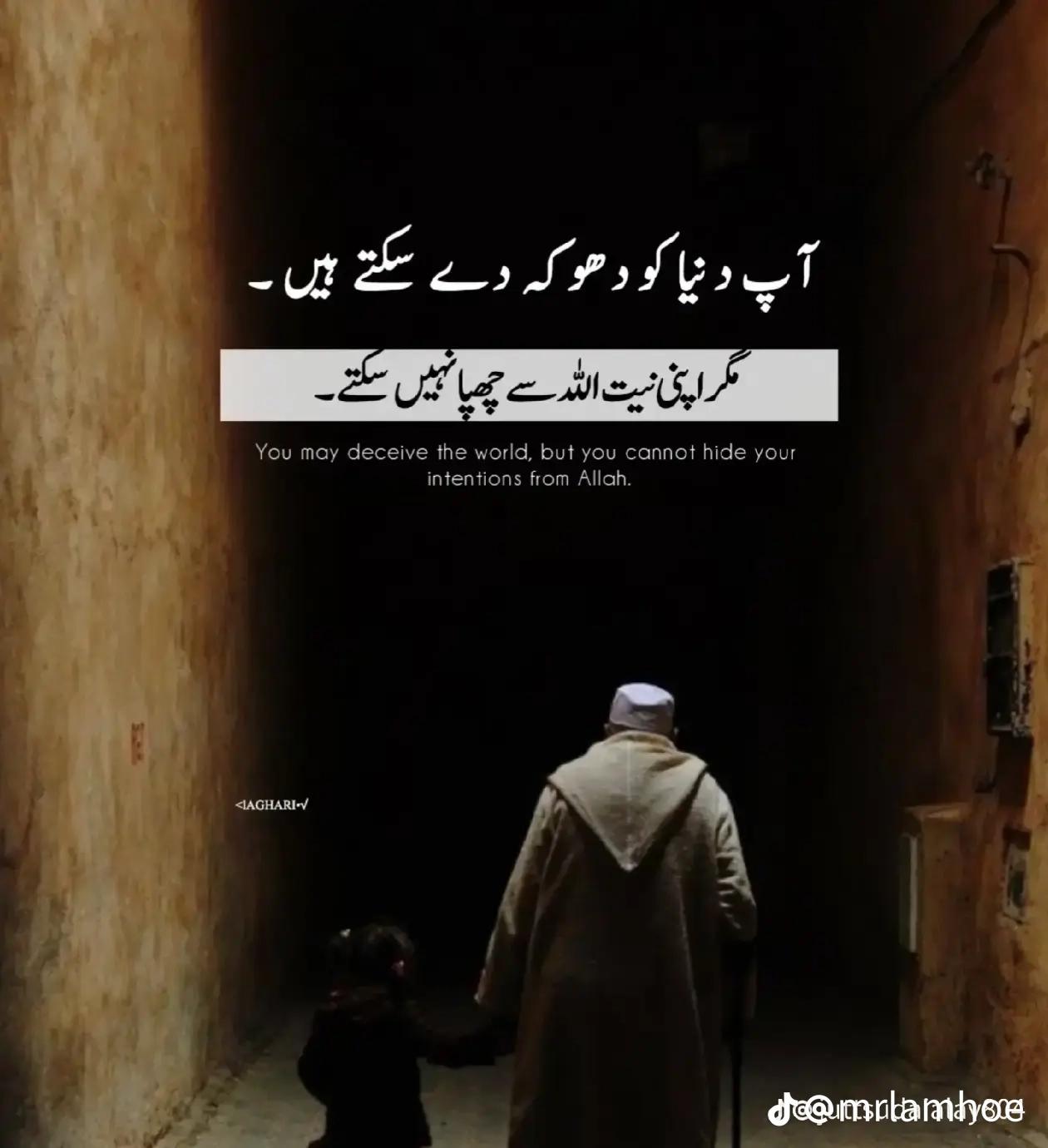 @M Farooq531