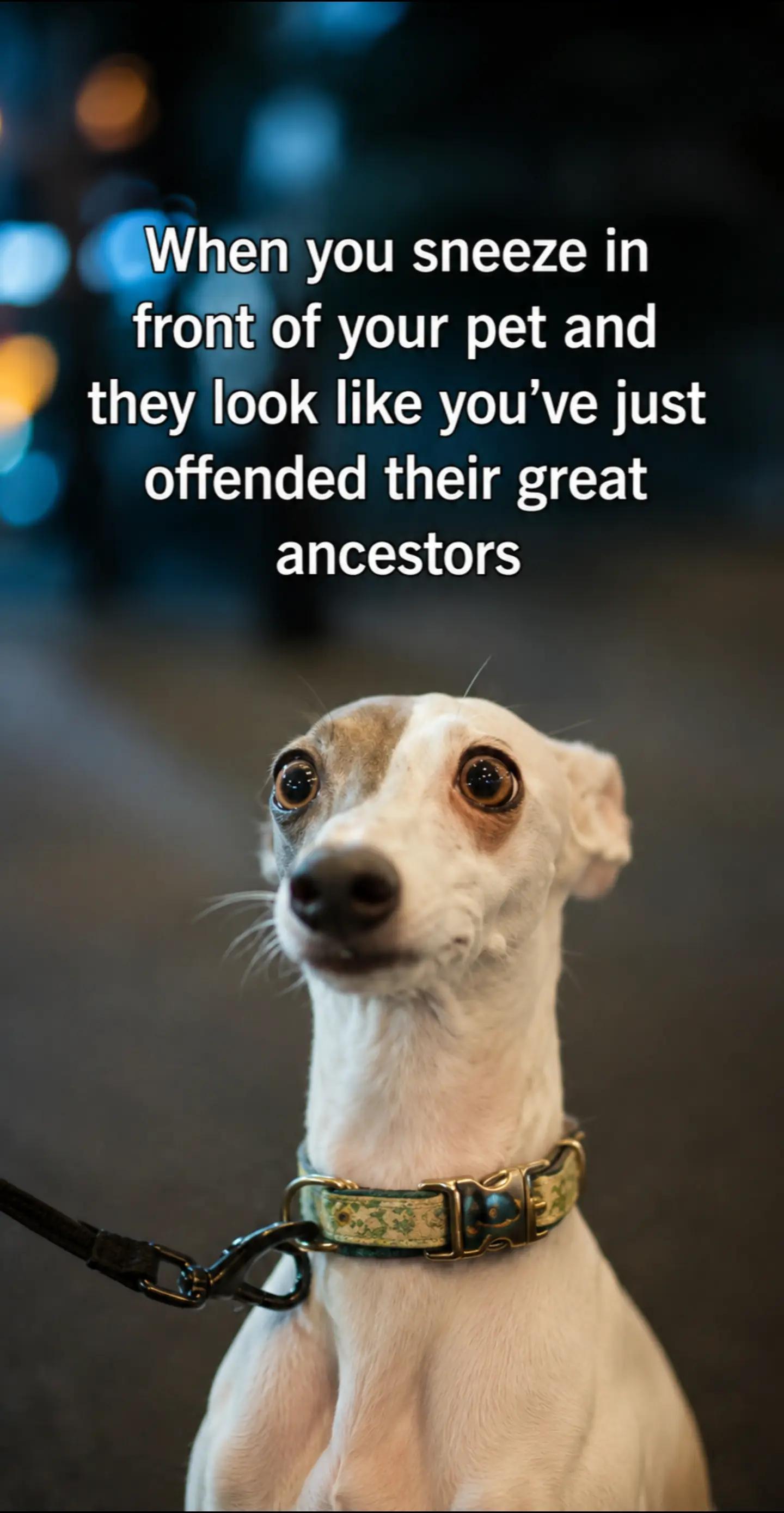 @Fictional Character