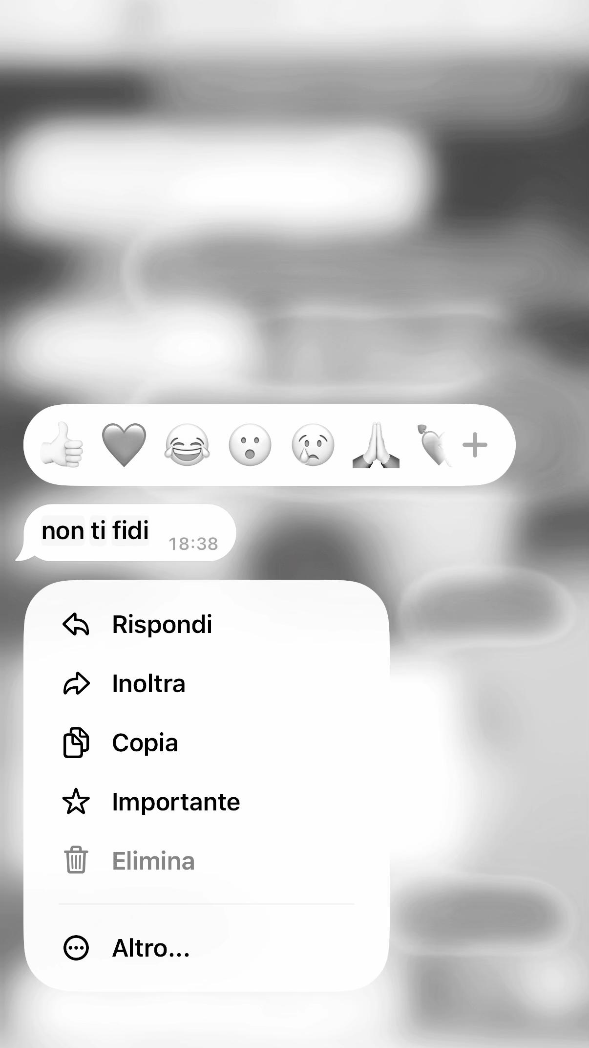 @_annarella___