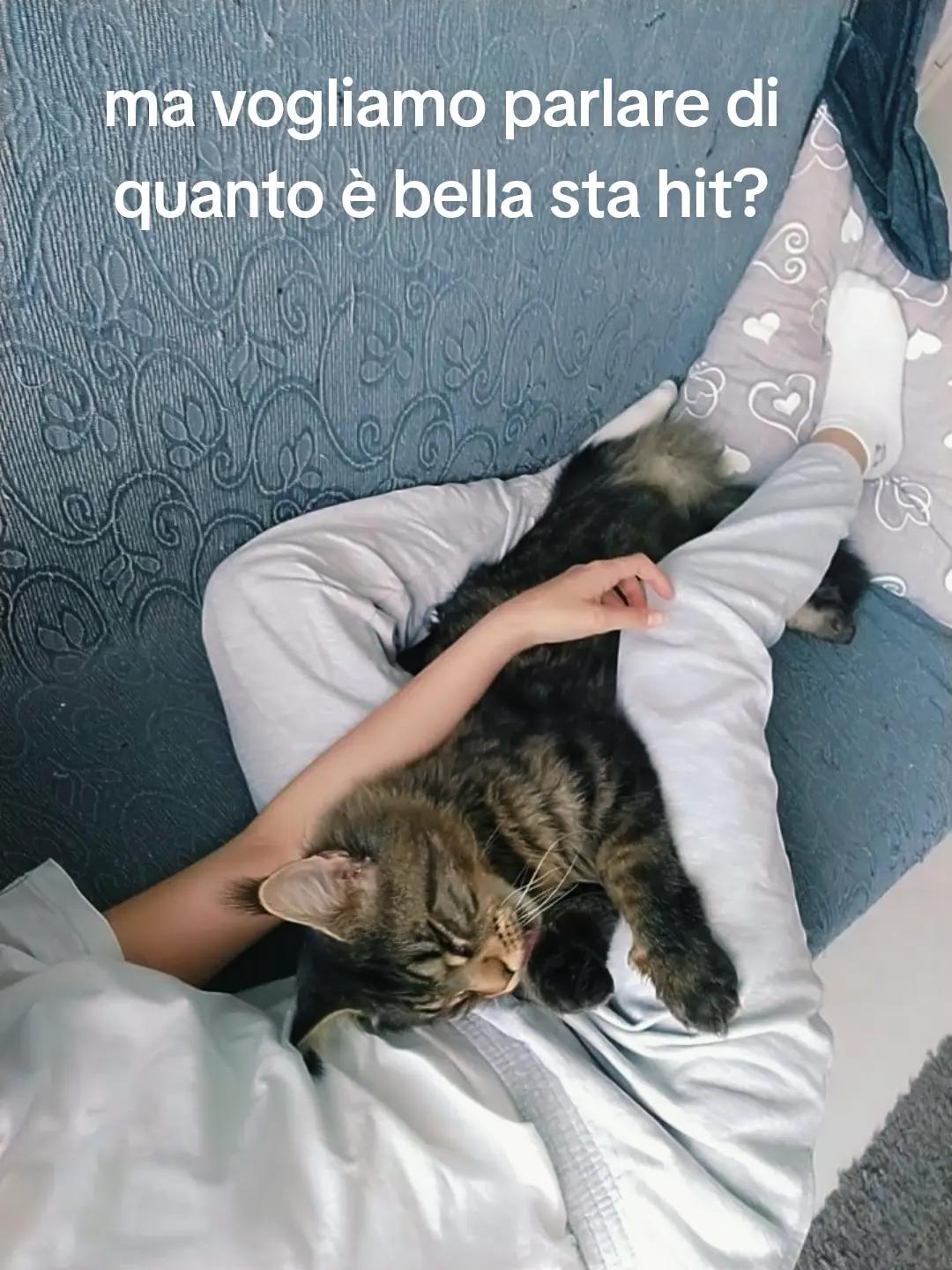 @Aury_Spam