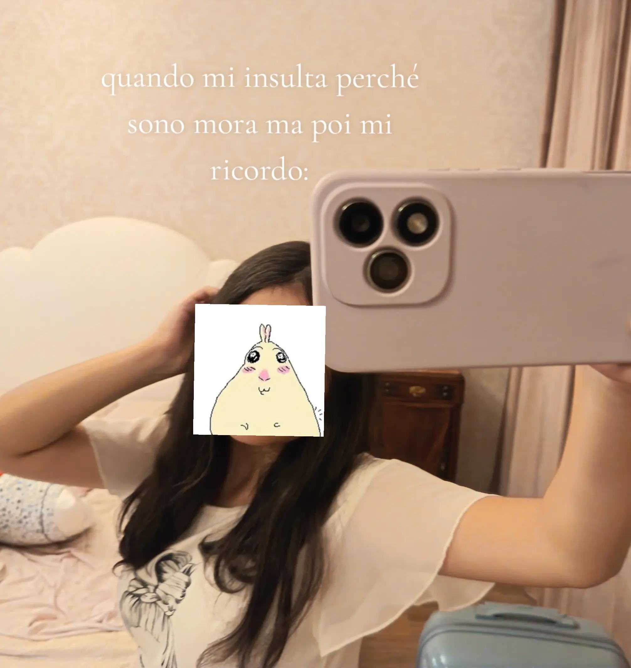 @🤍۶ৎ~𝗴𝑖𝑜~𑣲🤍