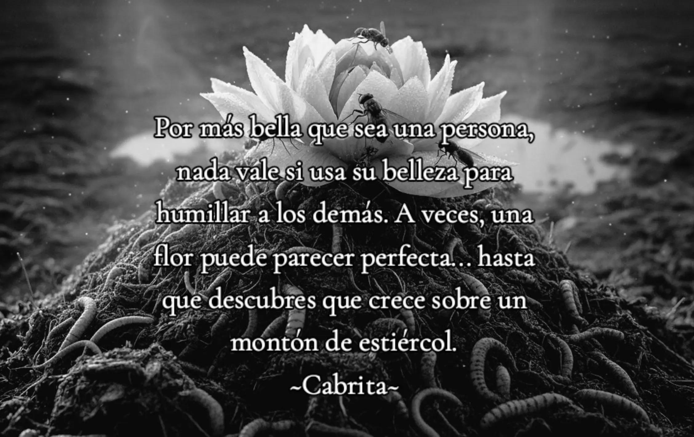 @Cabri