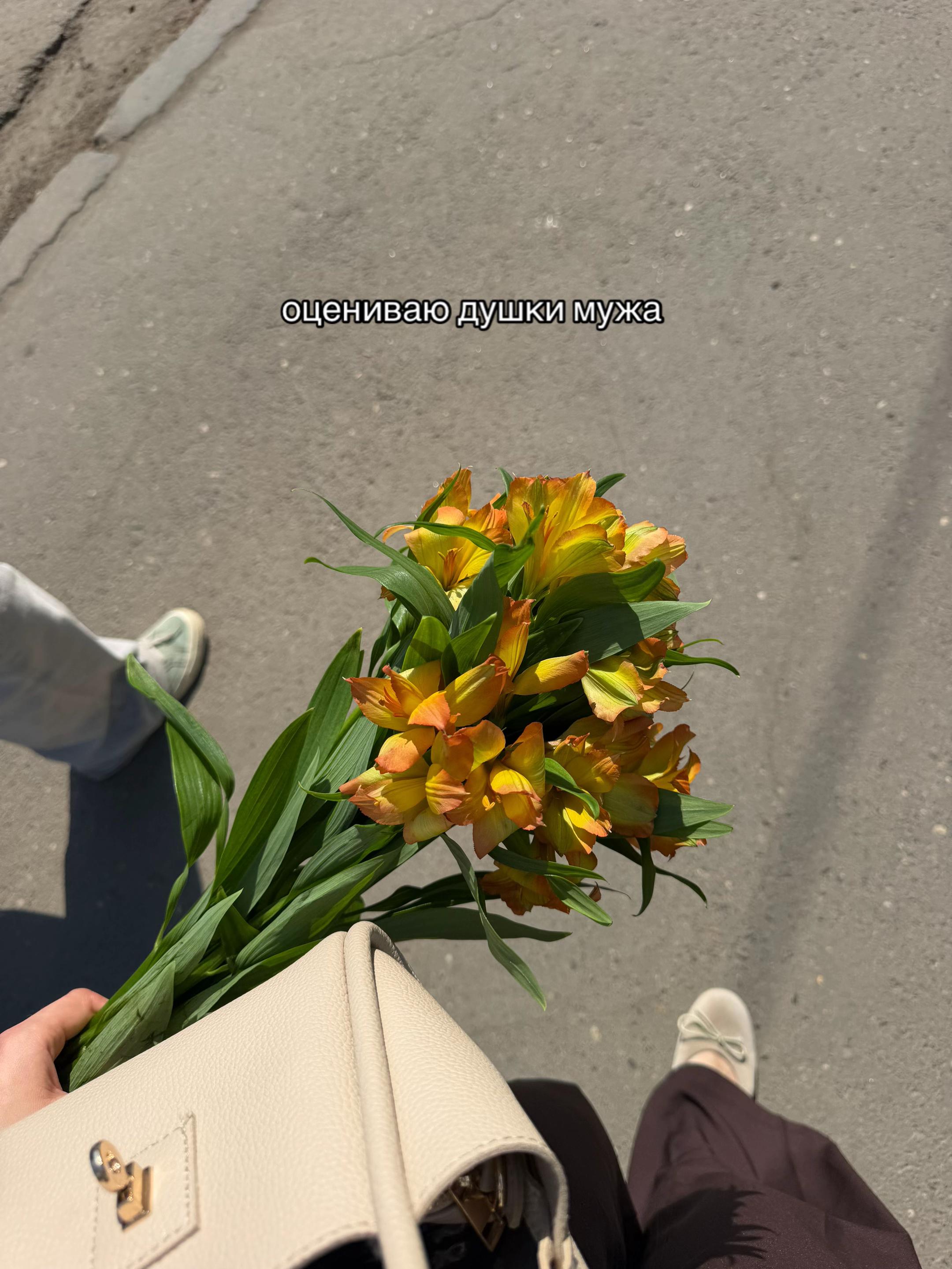 @Вероника Колосова