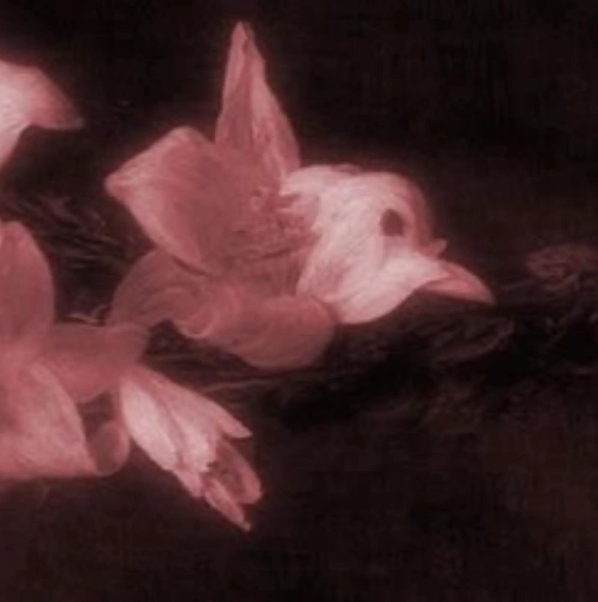 @☆𝓡𝓸𝓼𝓲𝓮☆