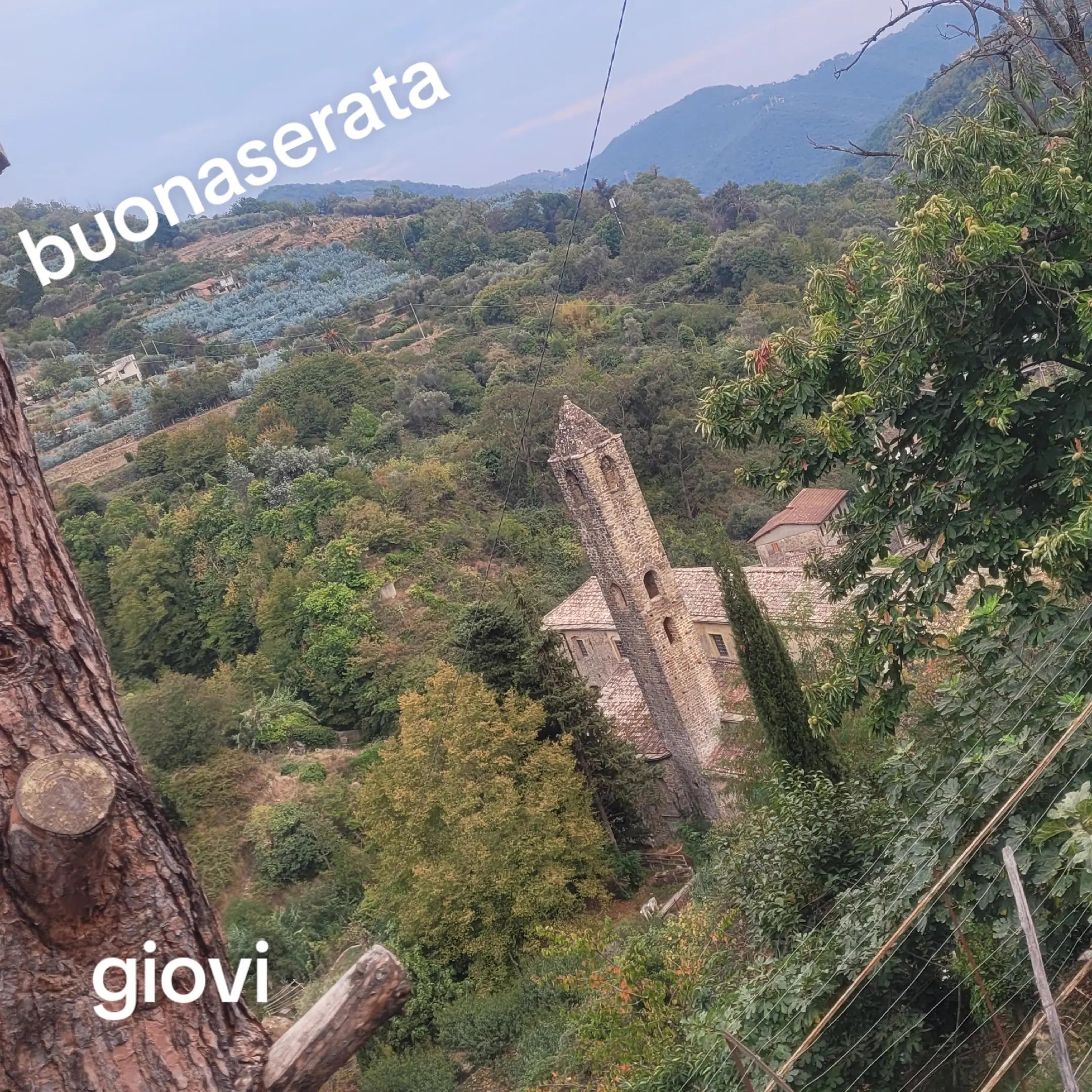 @giovi