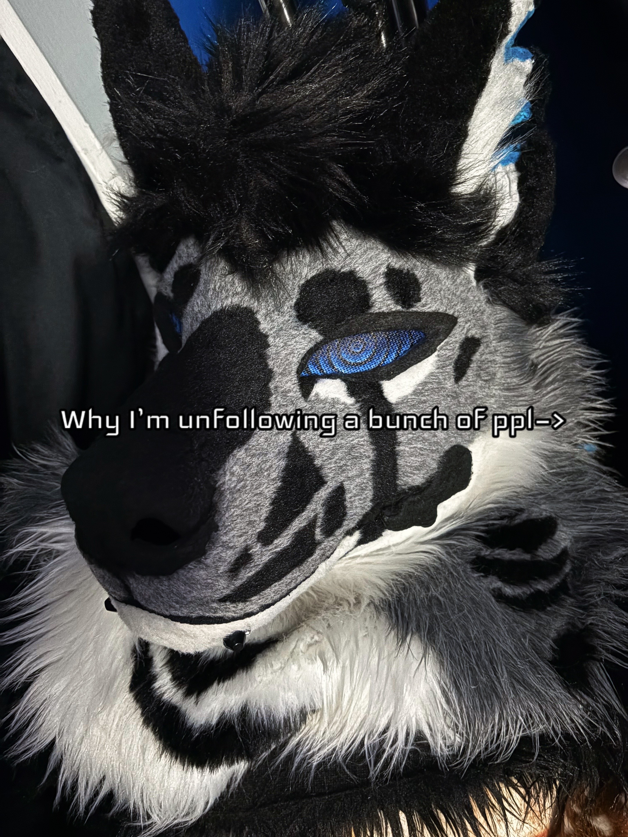@sonar_hyena_shark