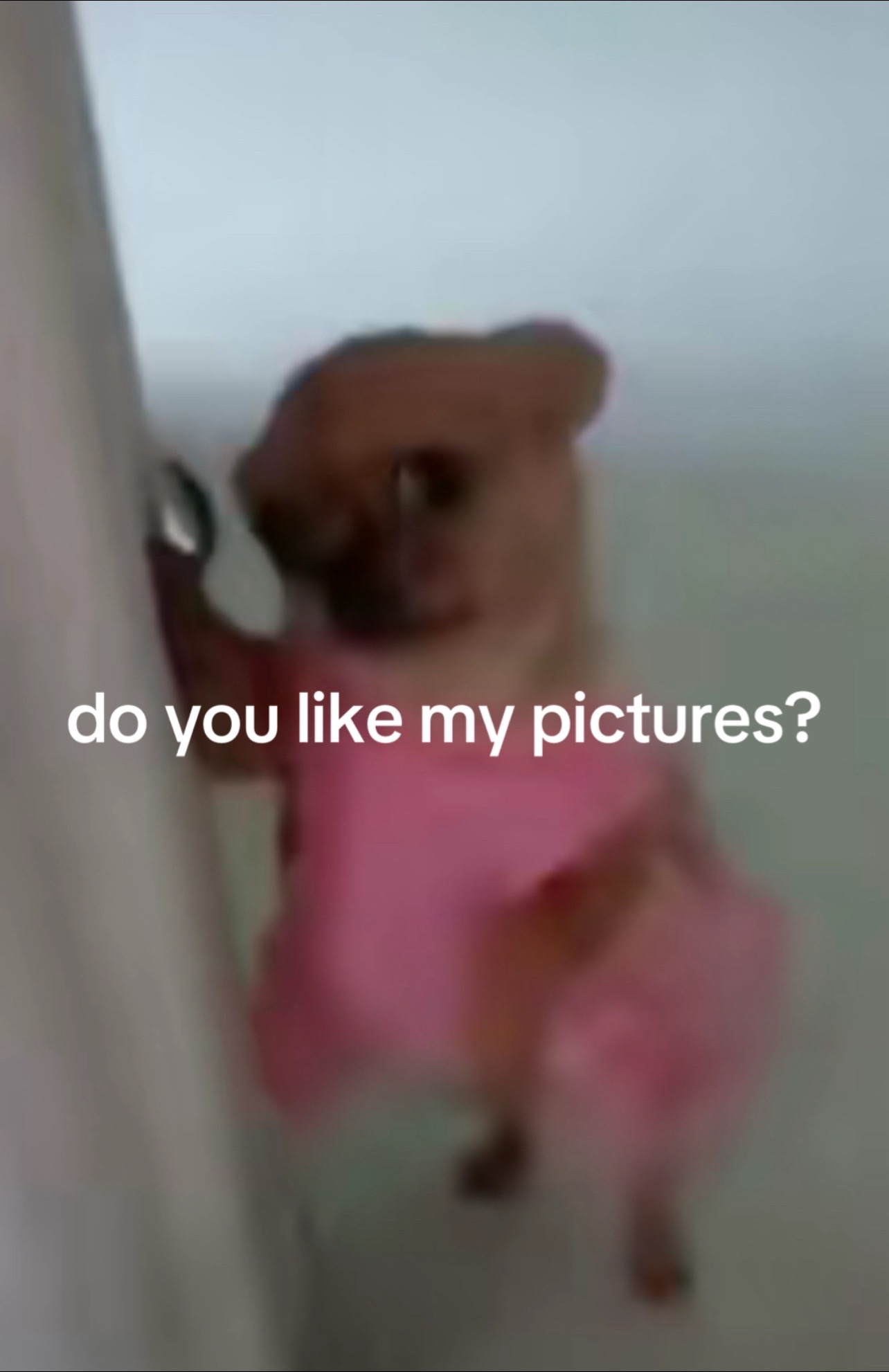 @Adomaa❤️🥰🦋🌺🌹🌊🫧