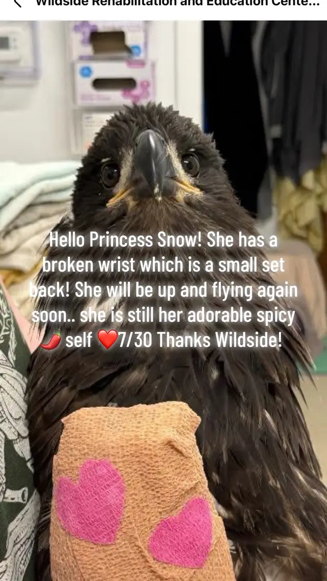 @Heartsong20