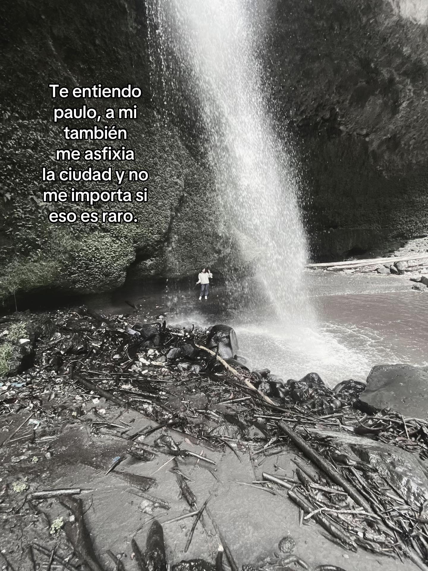 @lyrics23avocado
